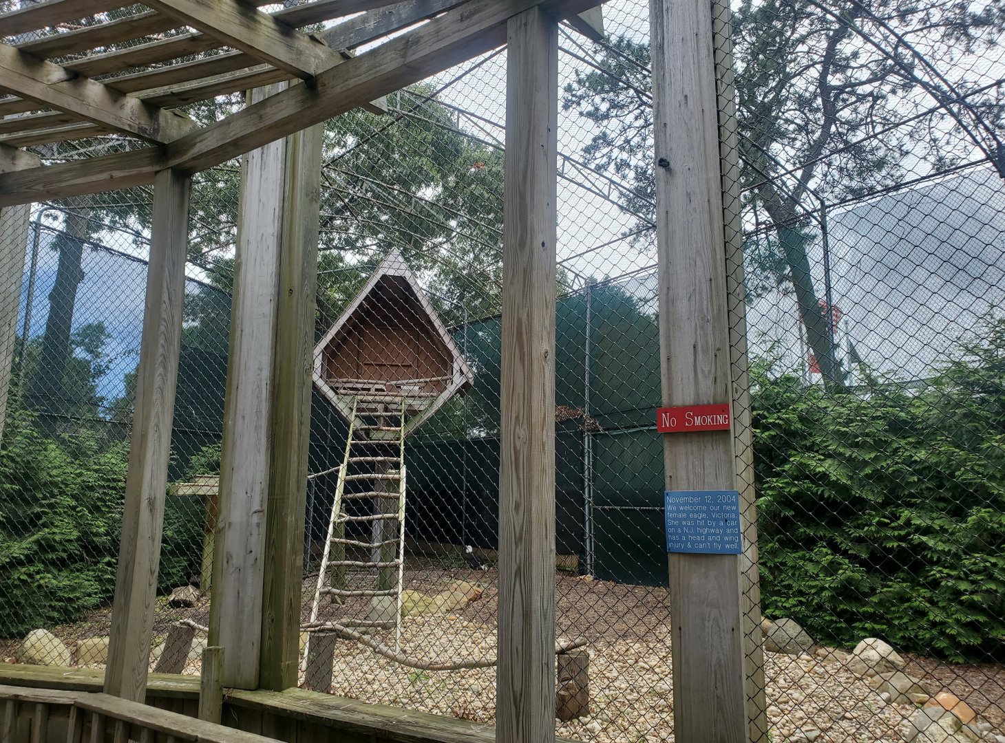 Holtsville Wildlife & Ecology Center (2022) - Bald Eagle enclosure