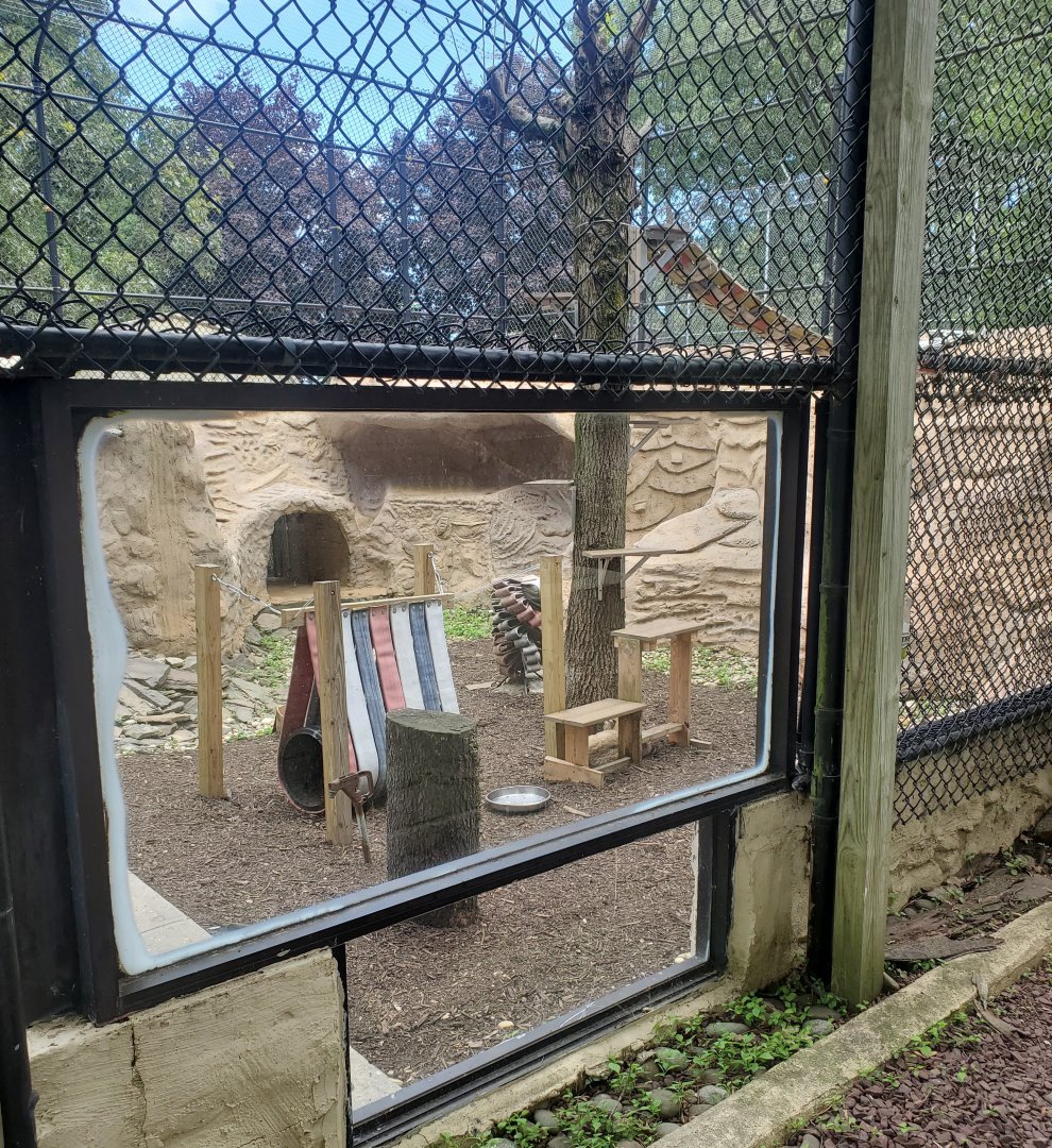 Holtsville Wildlife & Ecology Center (2022) - Bobcat enclosure