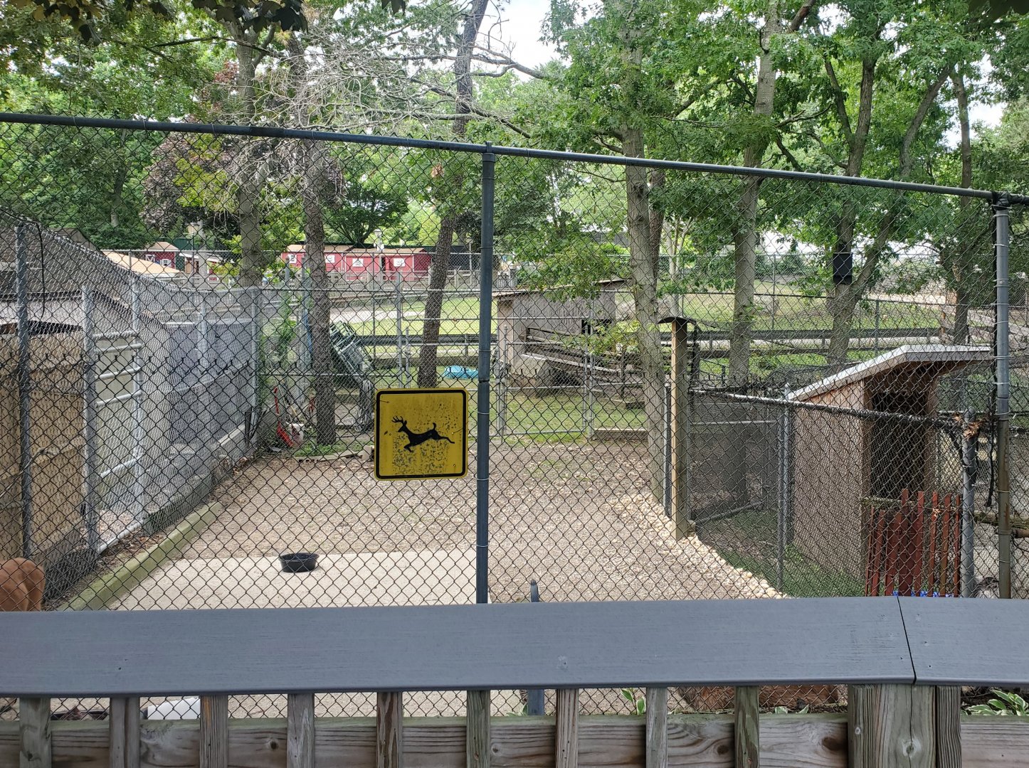 Holtsville Wildlife & Ecology Center (2022) - Deer enclosure