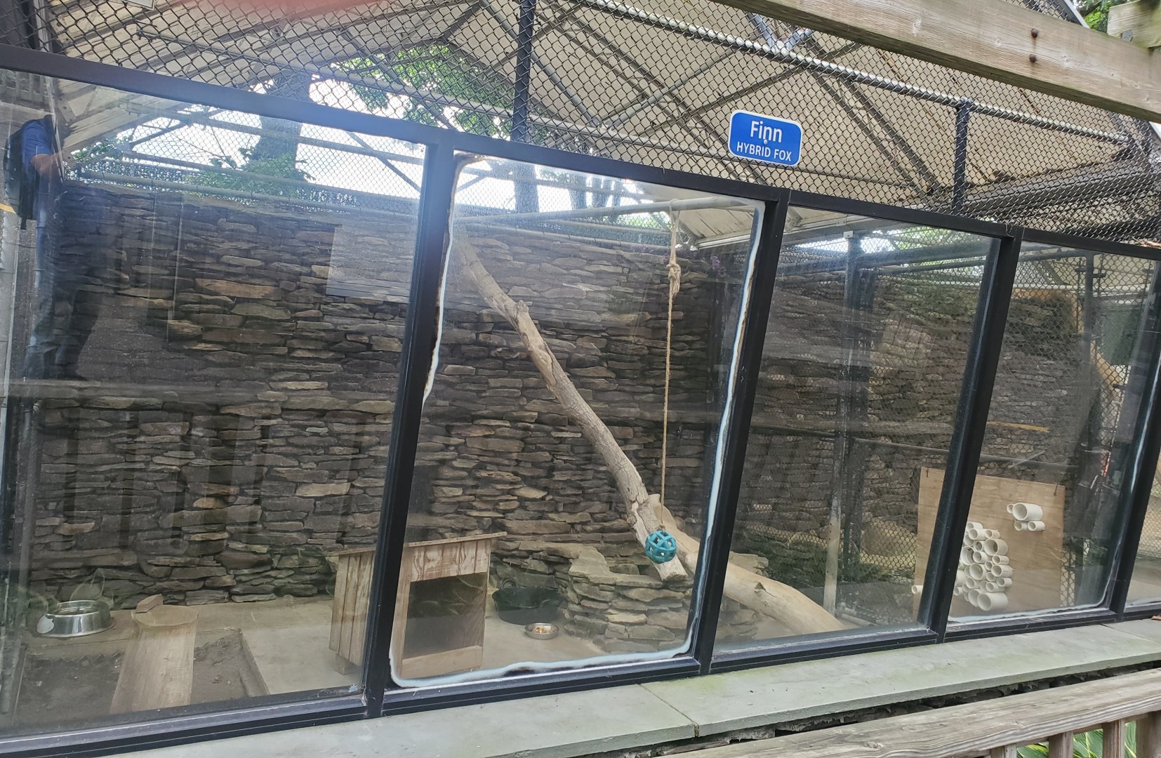 Holtsville Wildlife & Ecology Center (2022) - "Hybrid" Fox enclosure