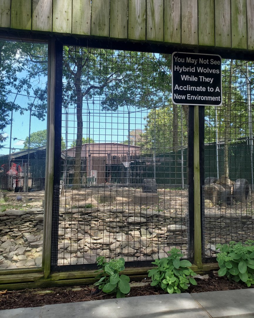 Holtsville Wildlife & Ecology Center (2022) - Wolf enclosure