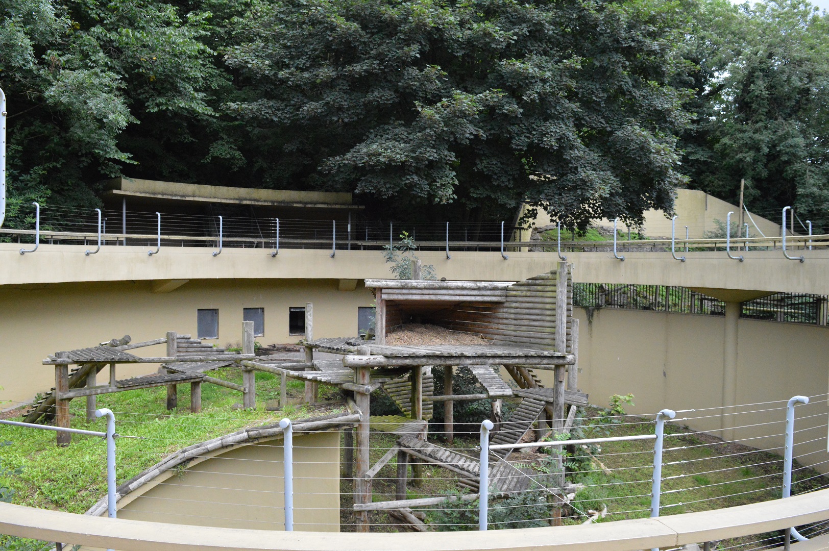 Home for an elderly bear