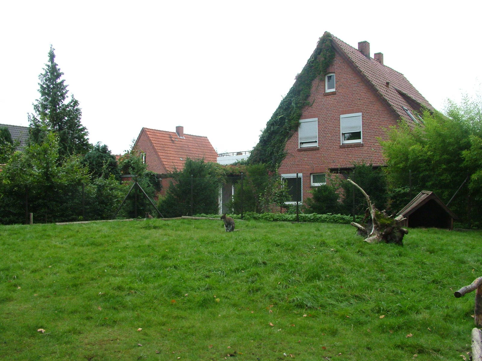 Homes overlooking the wallaby paddock at Tierpark Nordhorn 2007