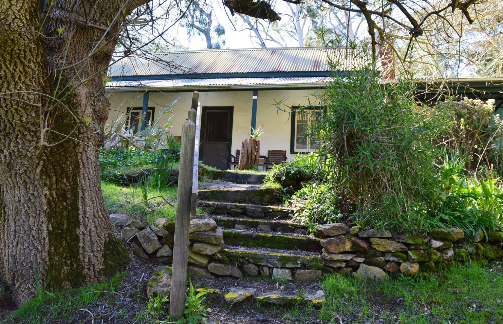 Homestead - Humbug Scrub