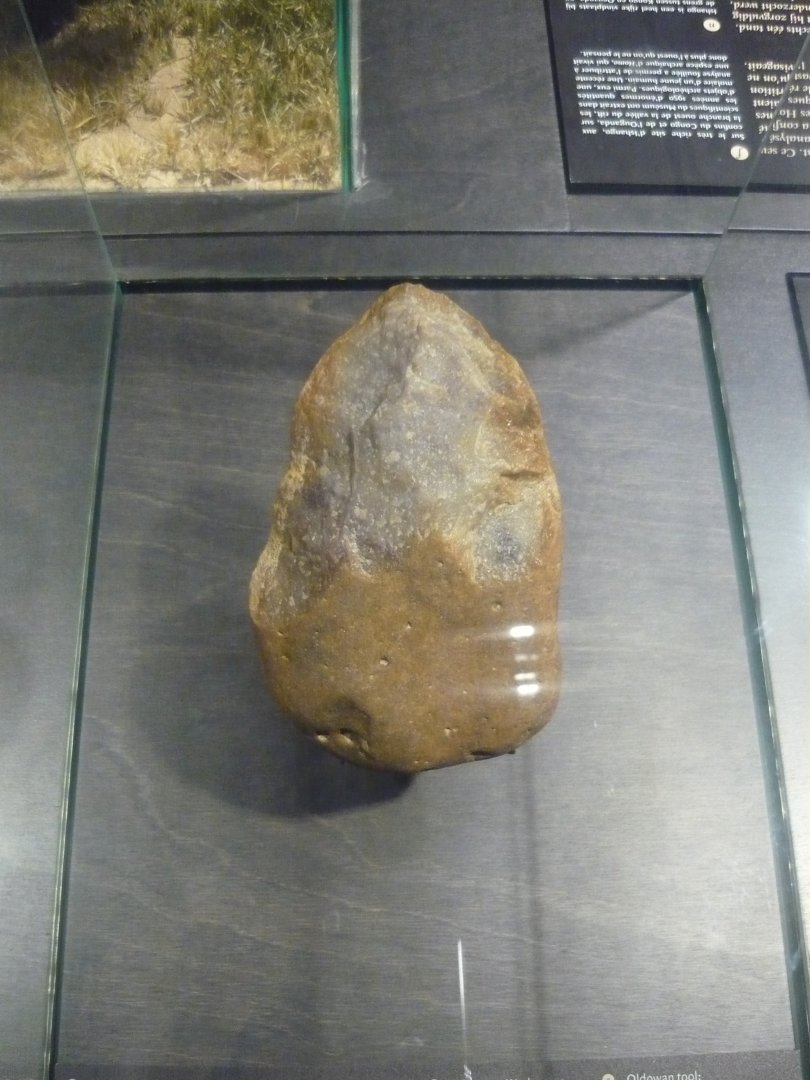 Homo habilis stone tool