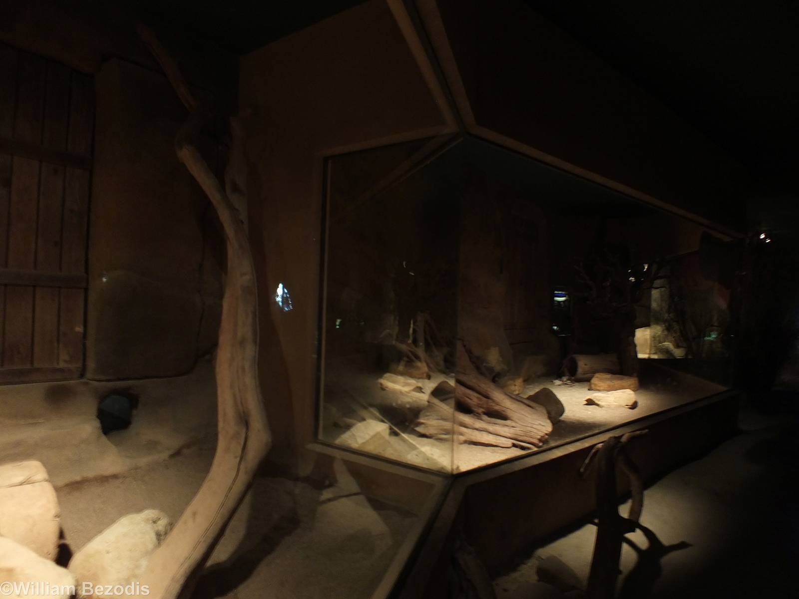 Honey Badger Indoor Area