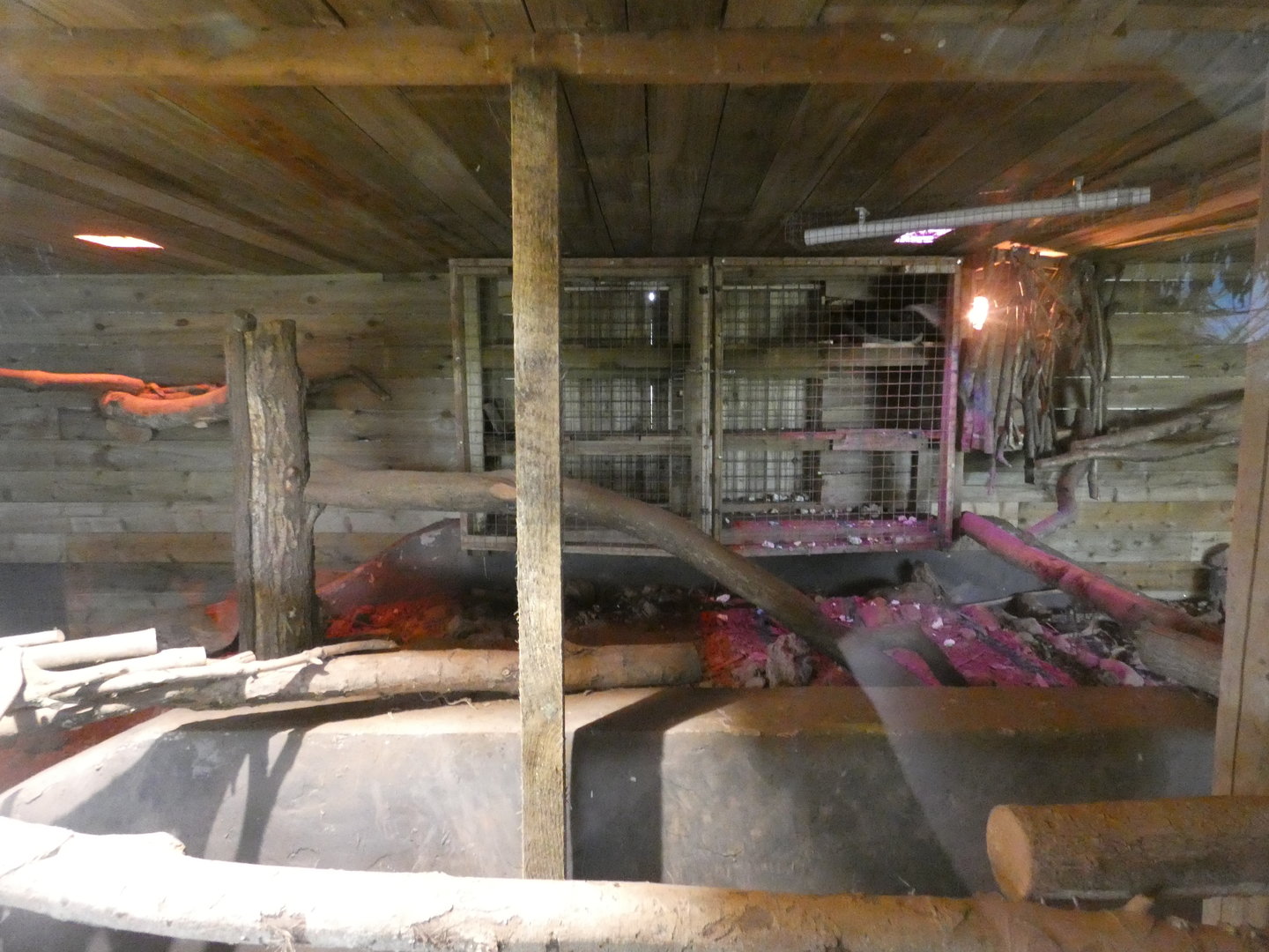 Honey badger indoor enclosure (2)