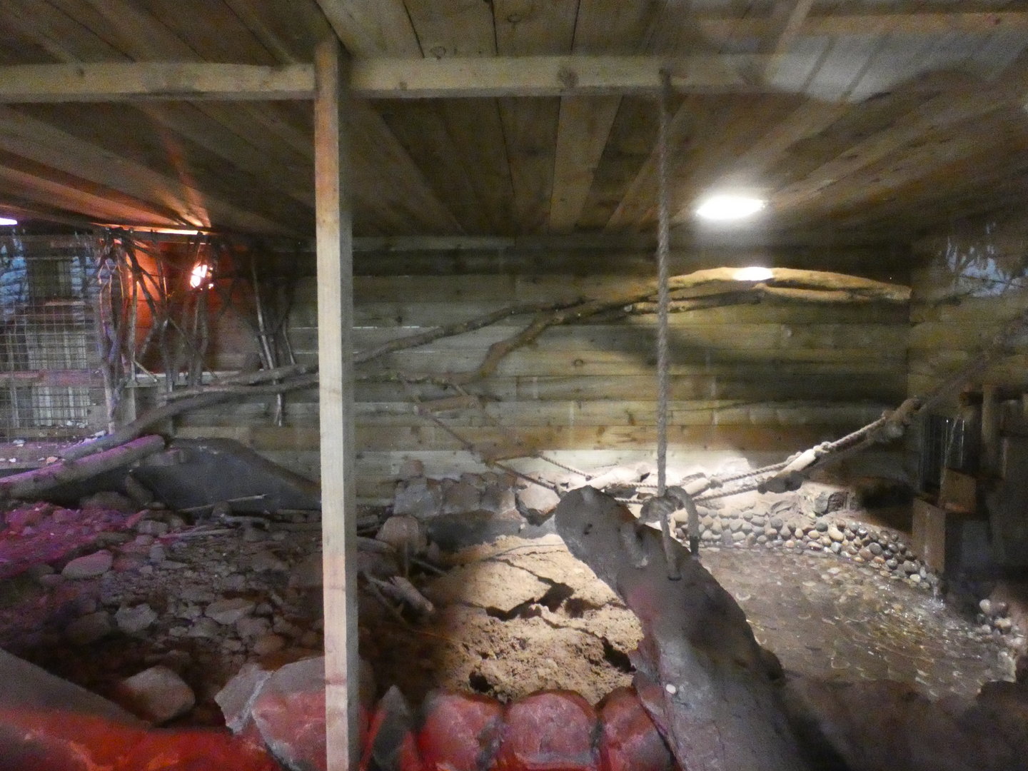 Honey badger indoor enclosure