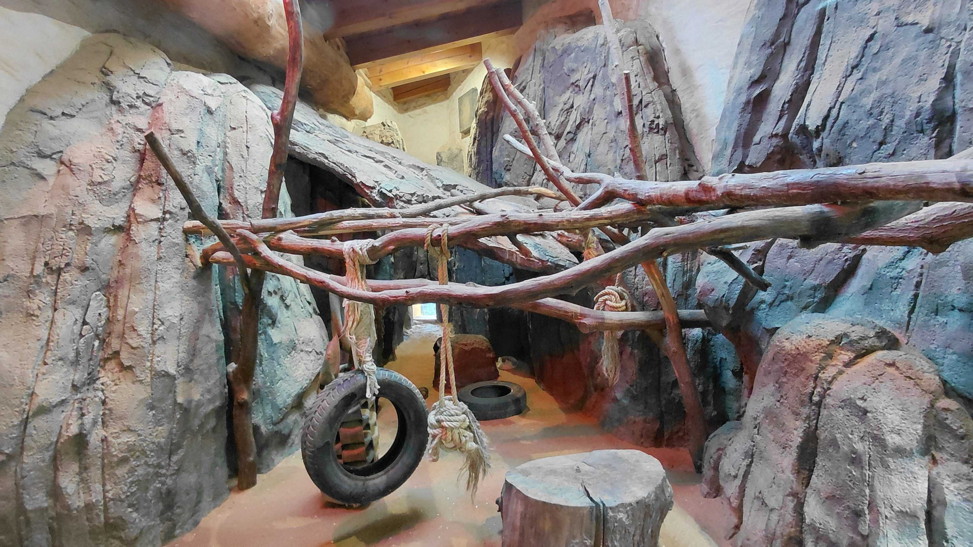 Honey badger indoor exhibit