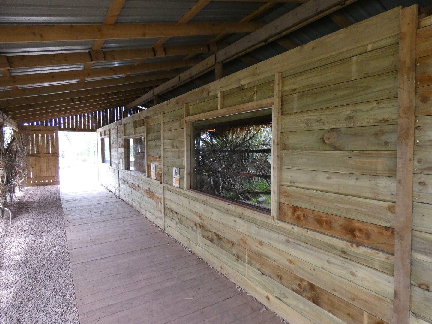 Honey badger indoor viewing area