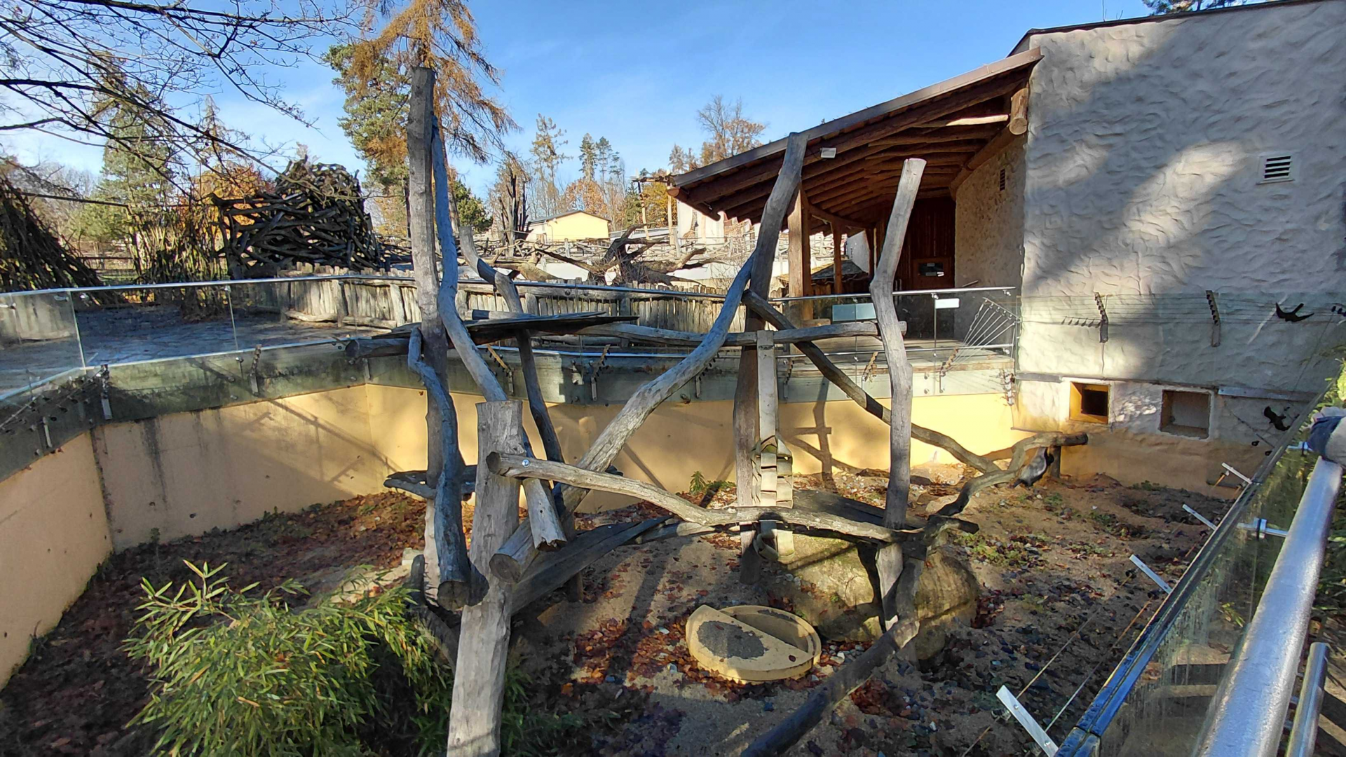 Honey badger outdoor exhibit