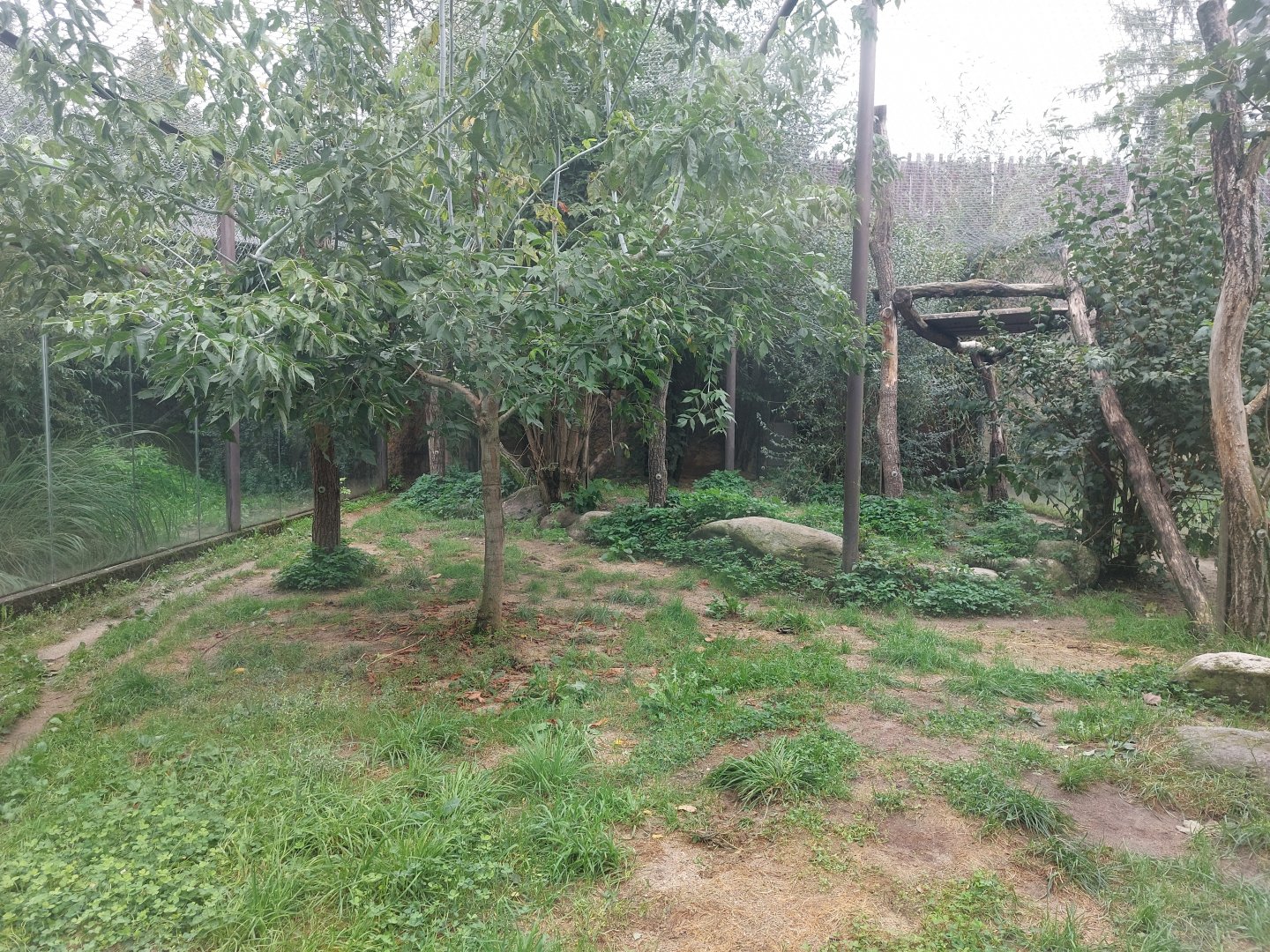 Honey badger & Persian leopard exhibit