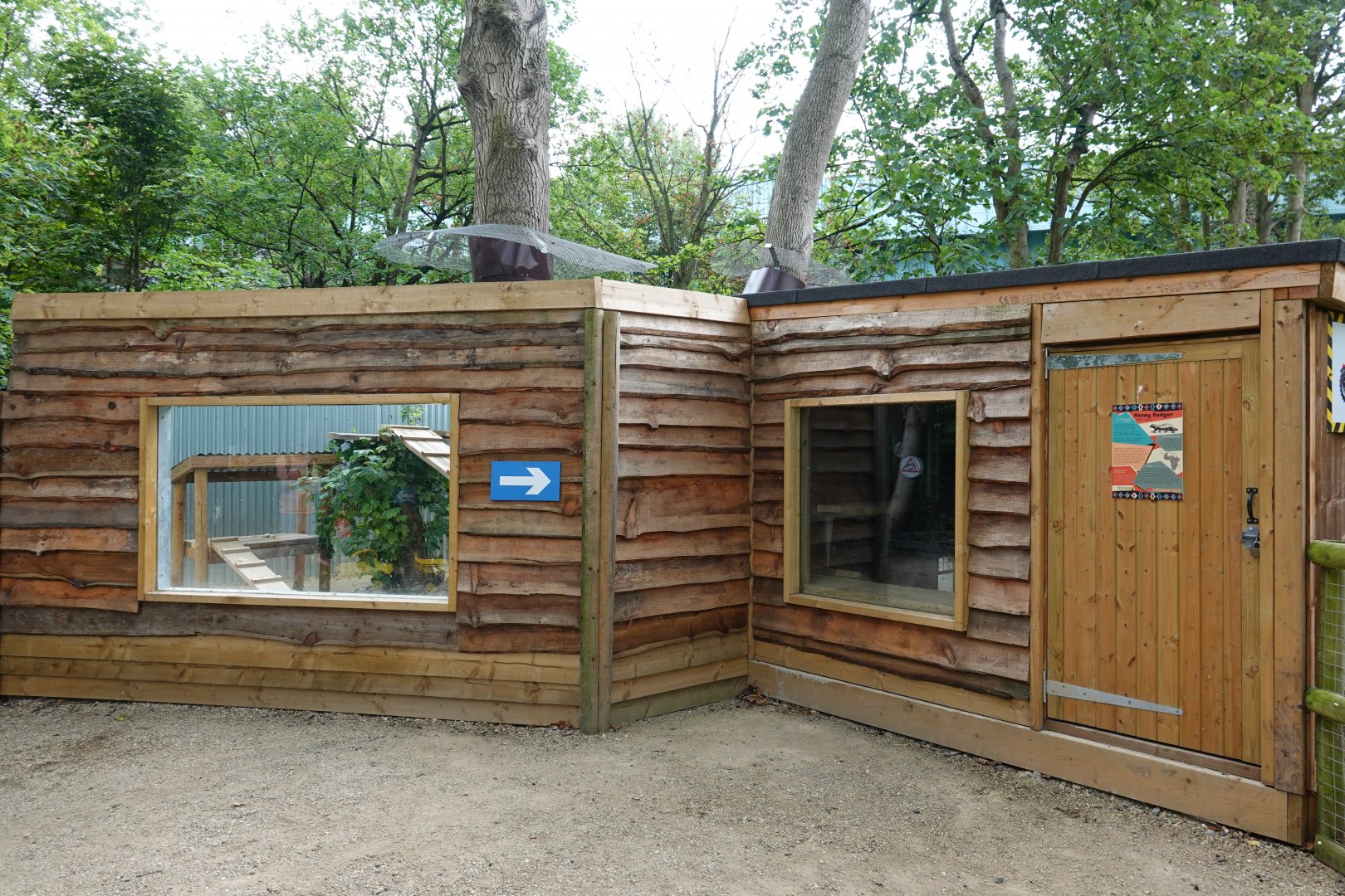 Honey badger / Ratel enclosure