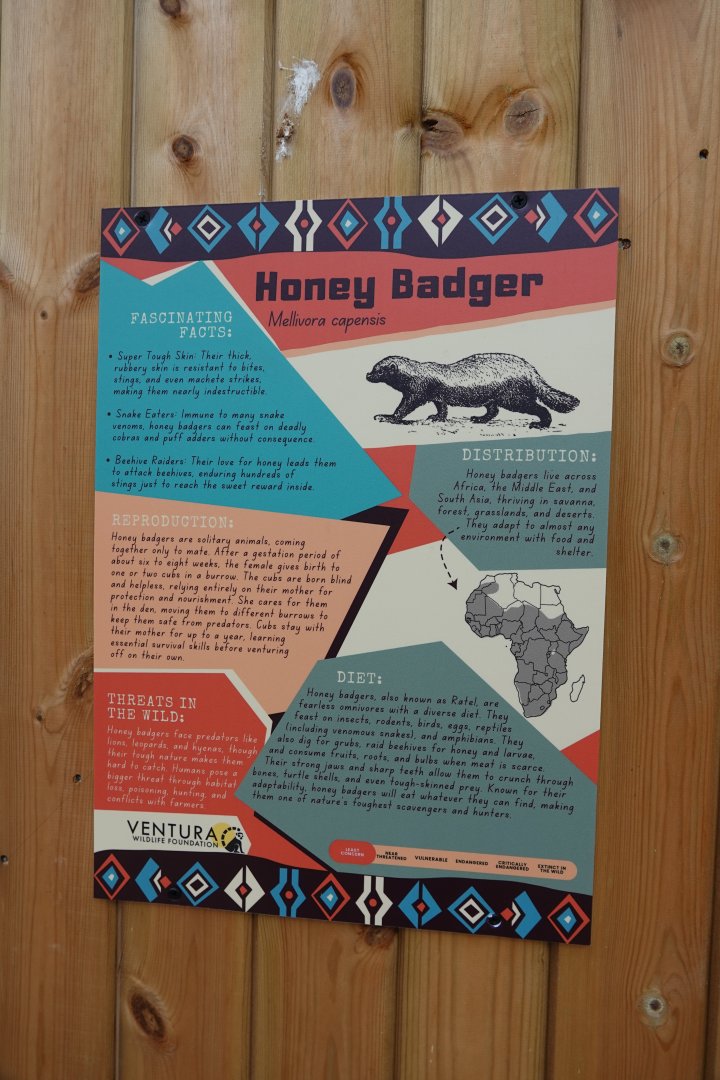Honey badger signage