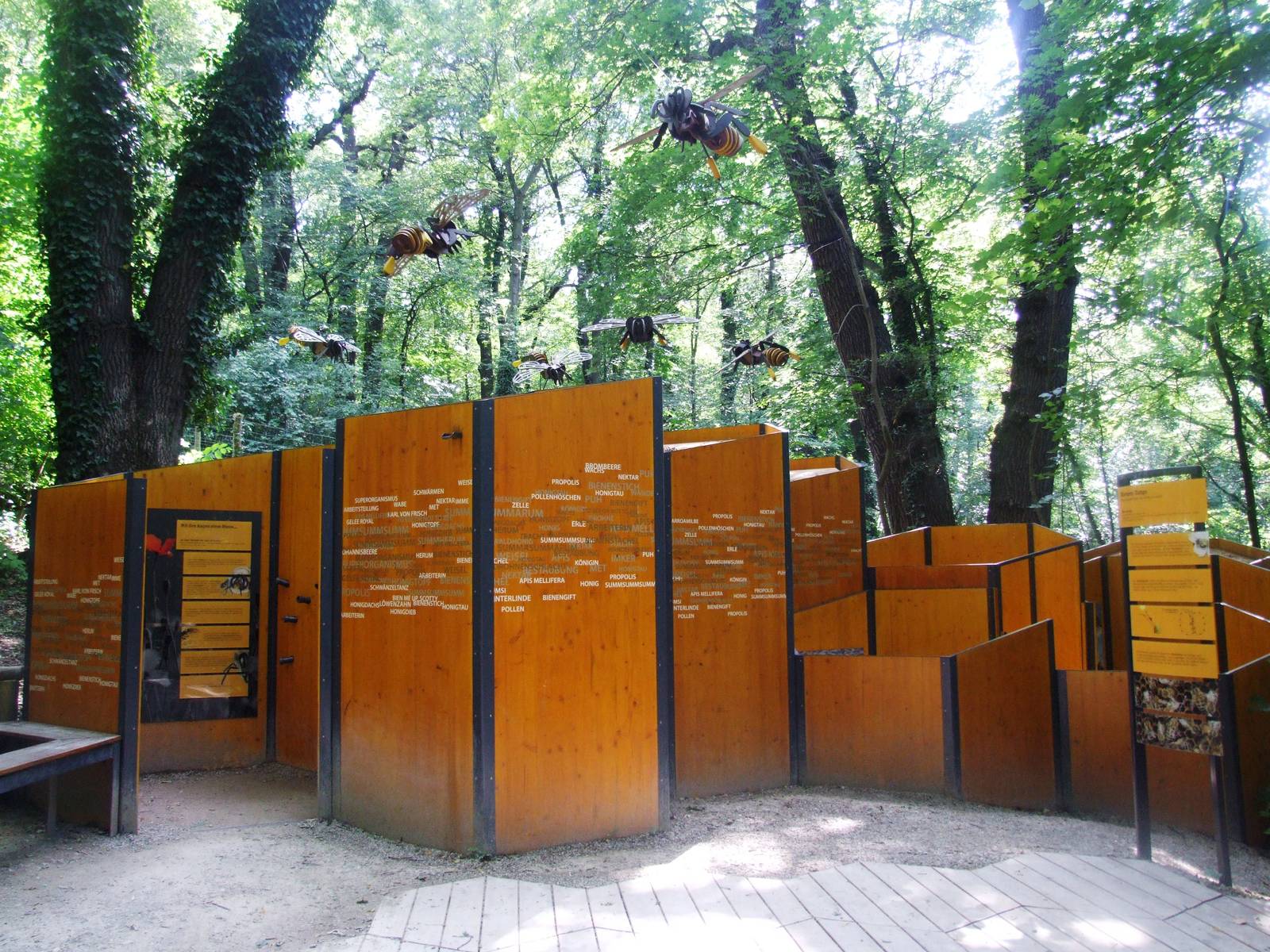 Honey Bee Display at Vienna, 14/06/13