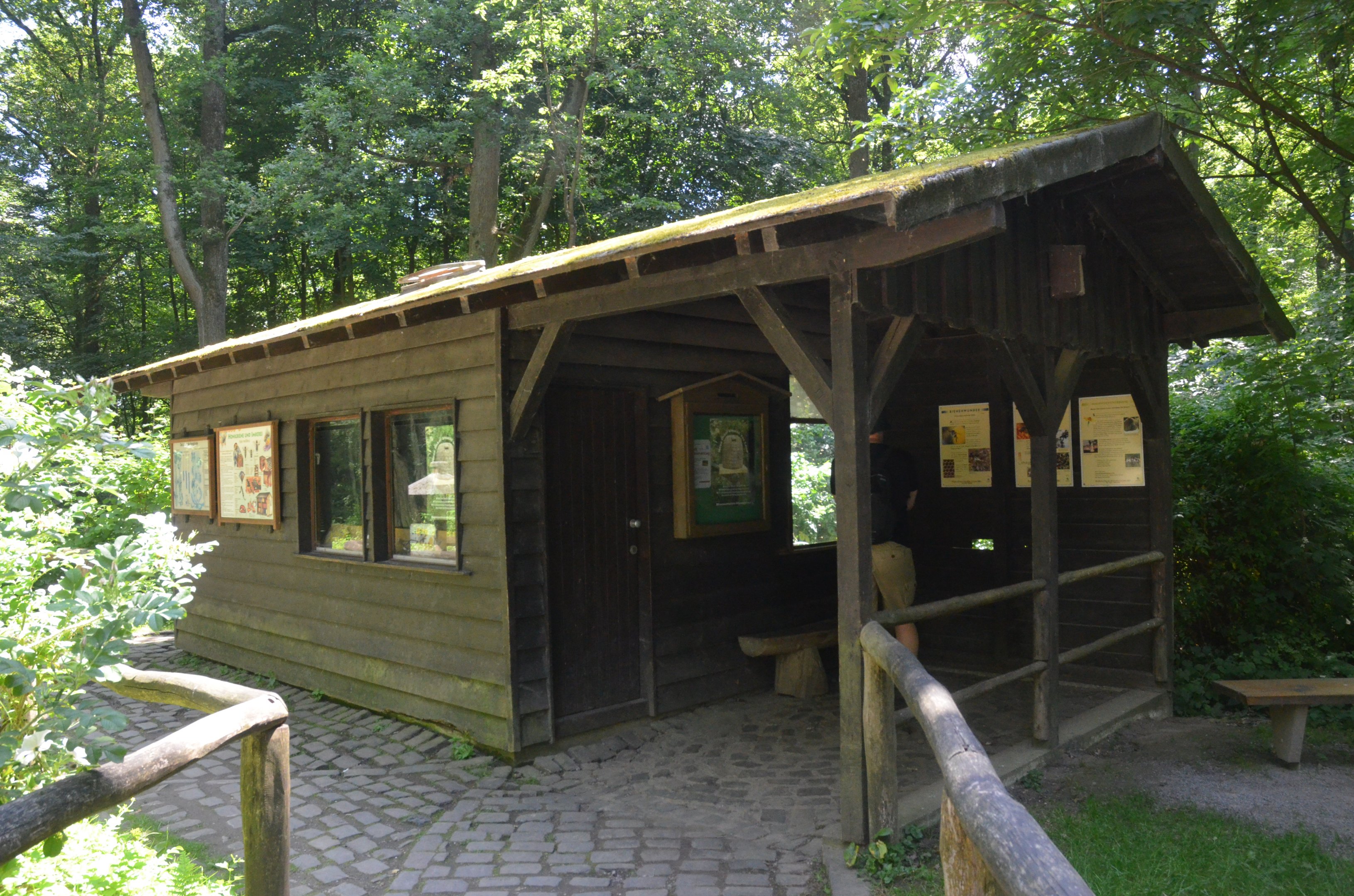 Honey Bee Exhibit at Wildpark Grafenberger Wald, 23/06/2019