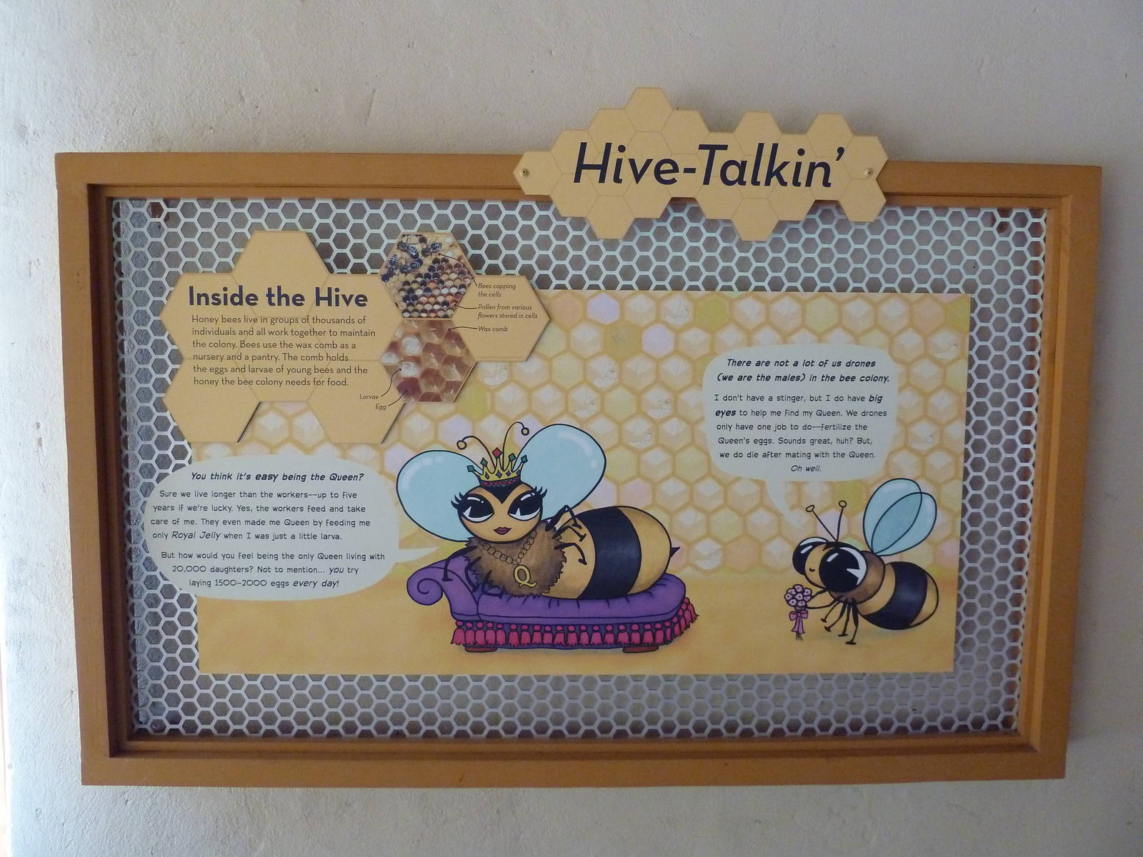 Honey Bee Garden - Signage