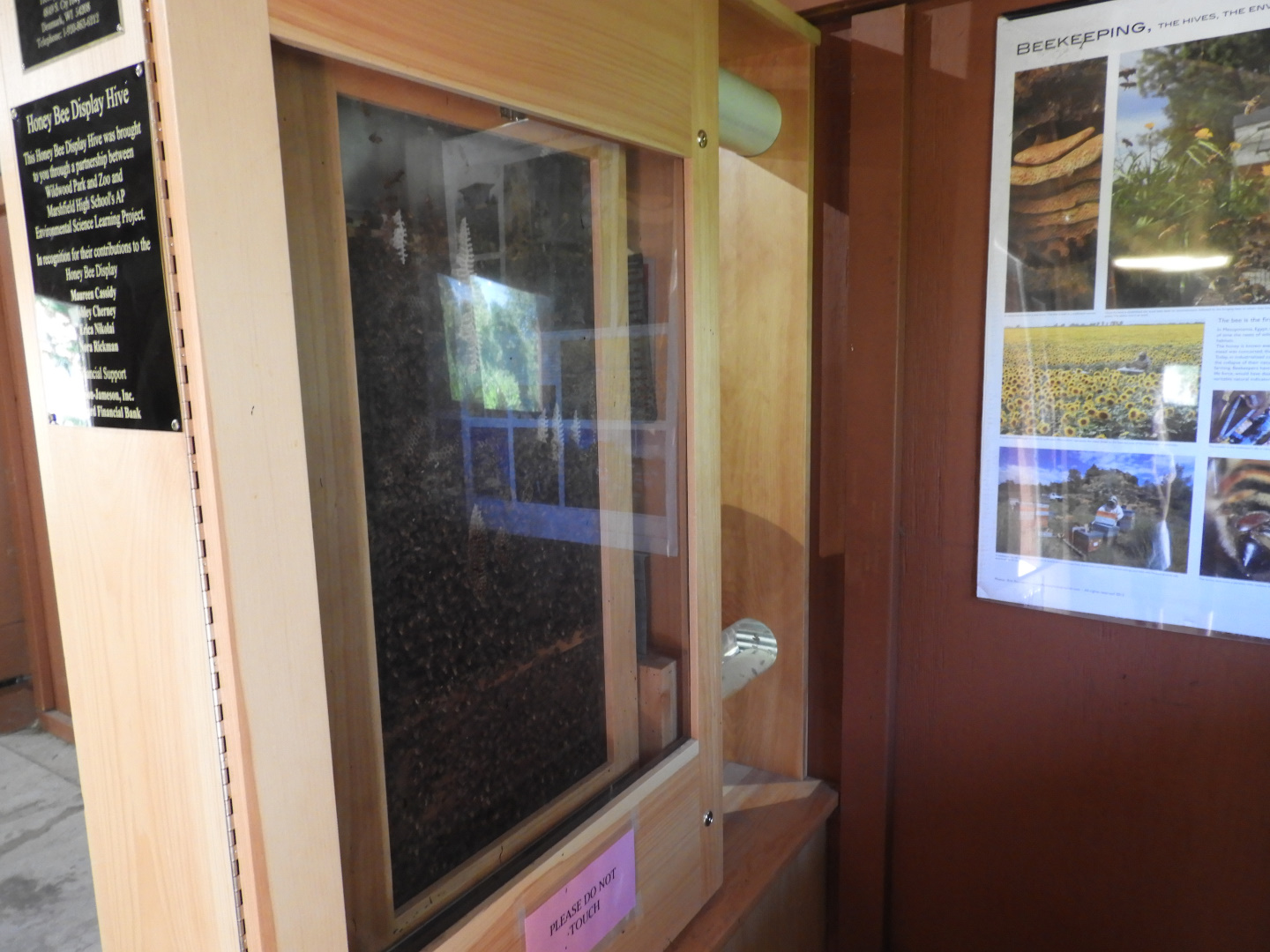 Honey bee hive (new in 2017) - Wildwood Zoo