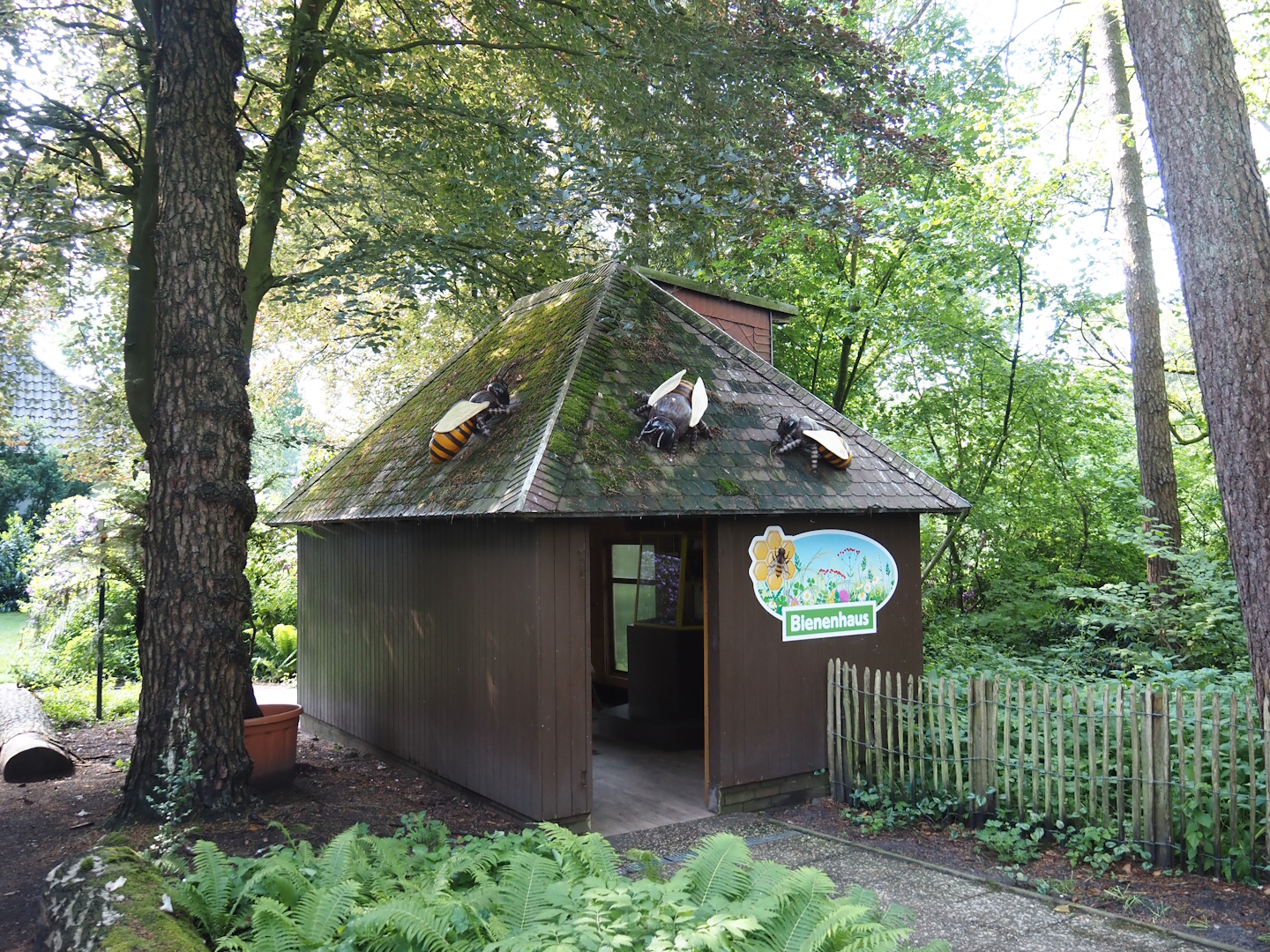 Honey bee house, 2024-05-23