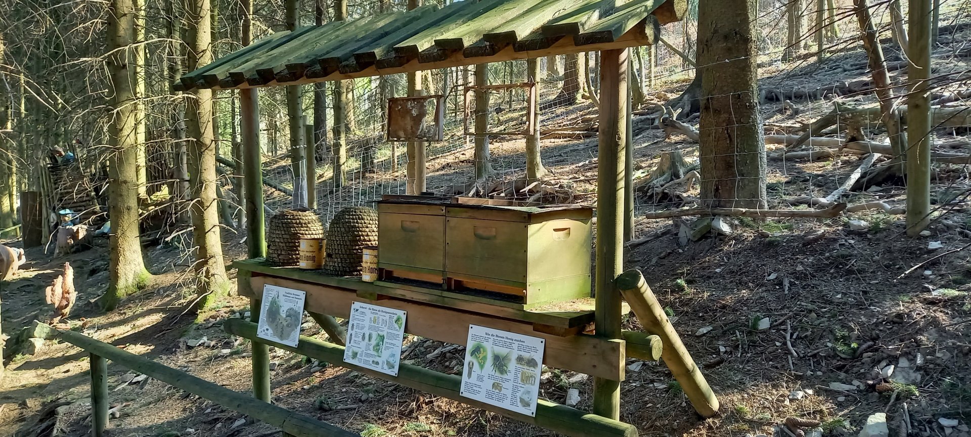 Honey bee info and hives