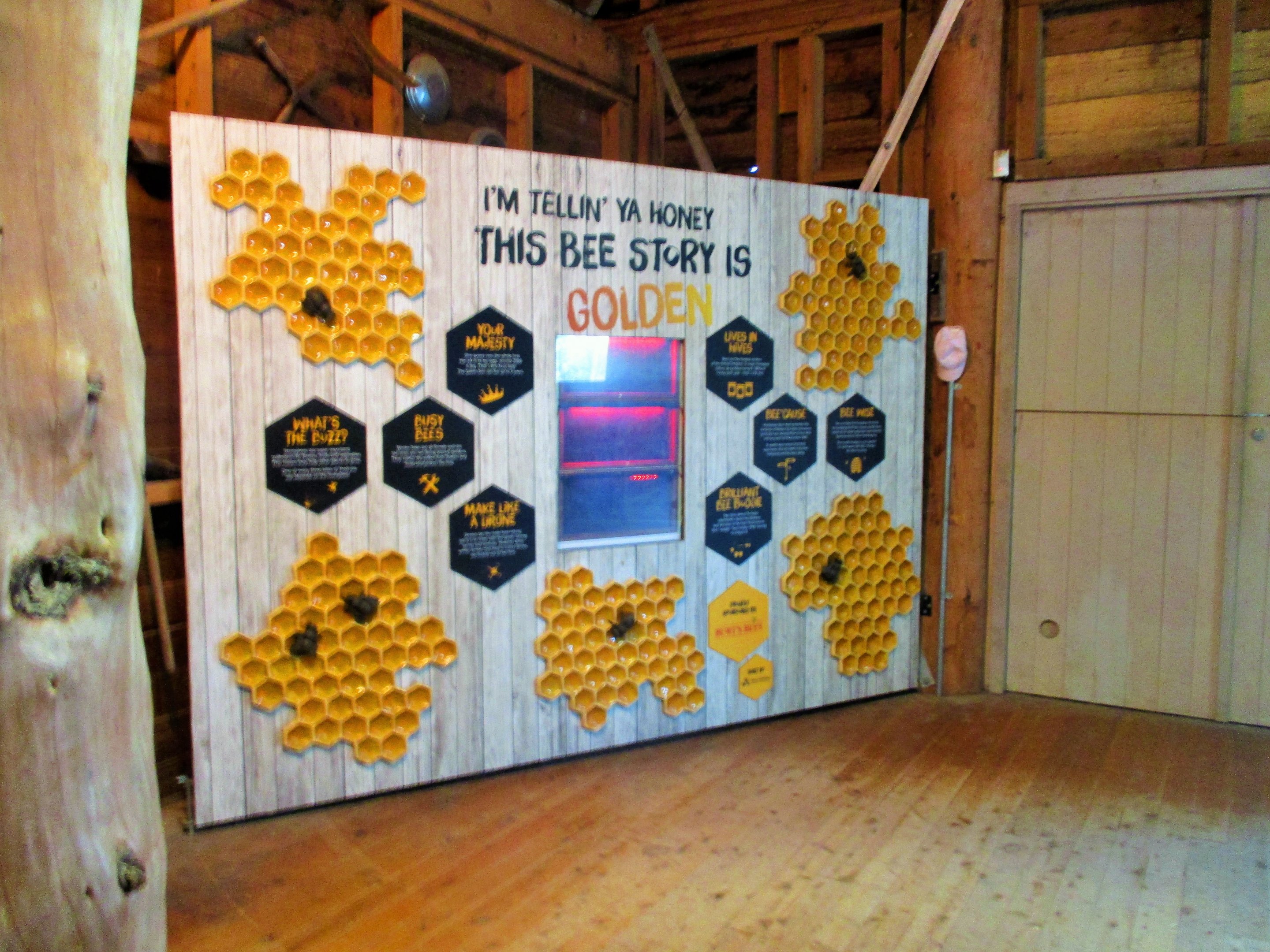 Honeybee Display