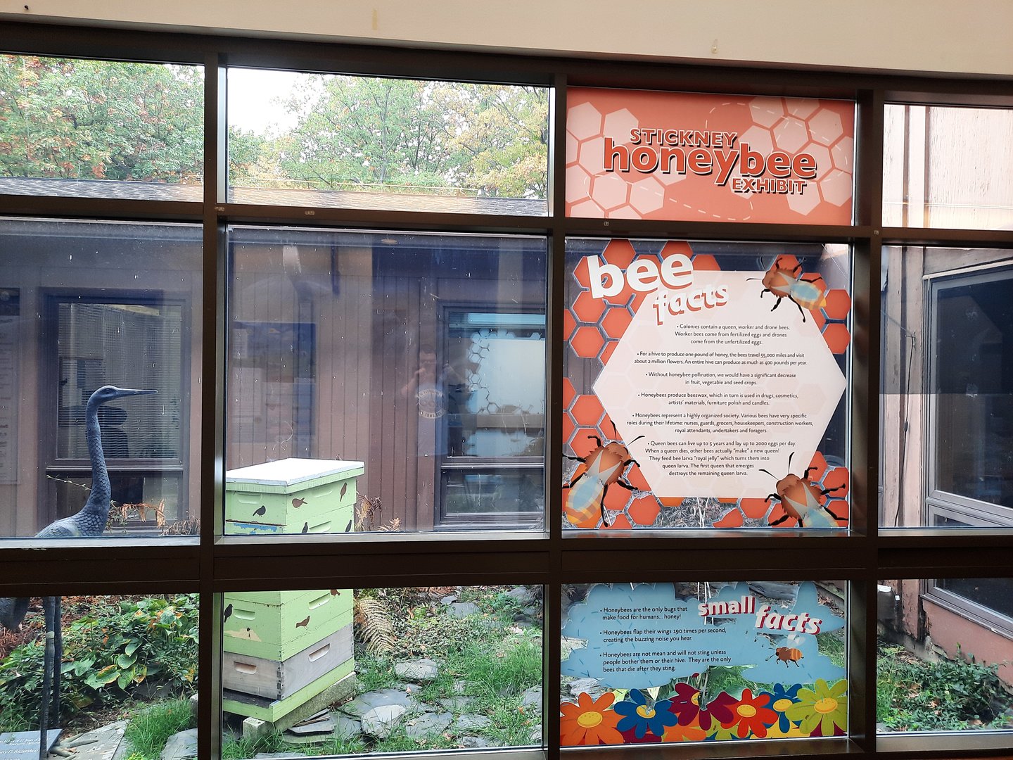 Honeybee Exhibit