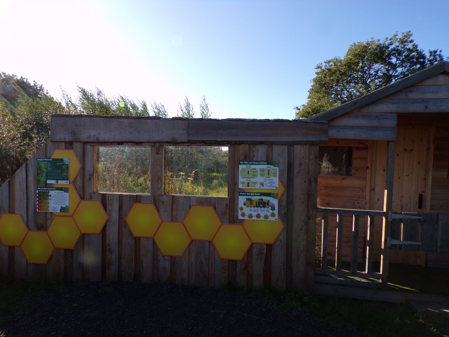 Honeybee section 14.10.23