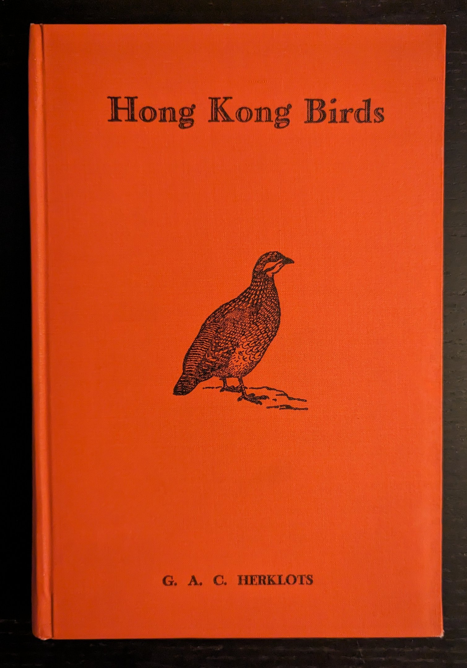 Hong Kong Birds
