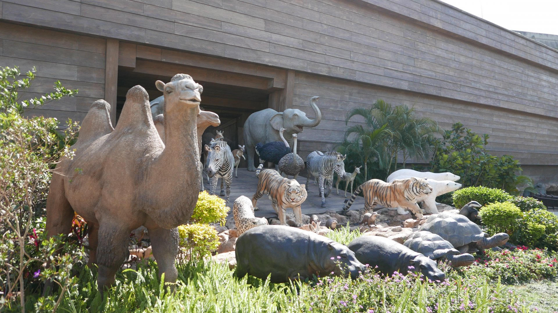 Hong Kong Noah's Ark