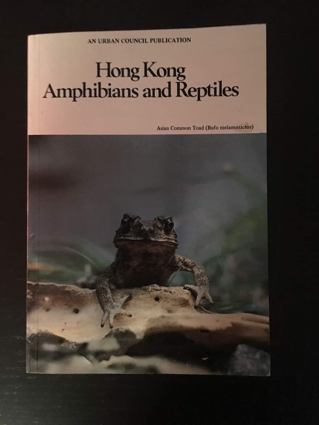 Hong Kong Reptiles and Amphibians