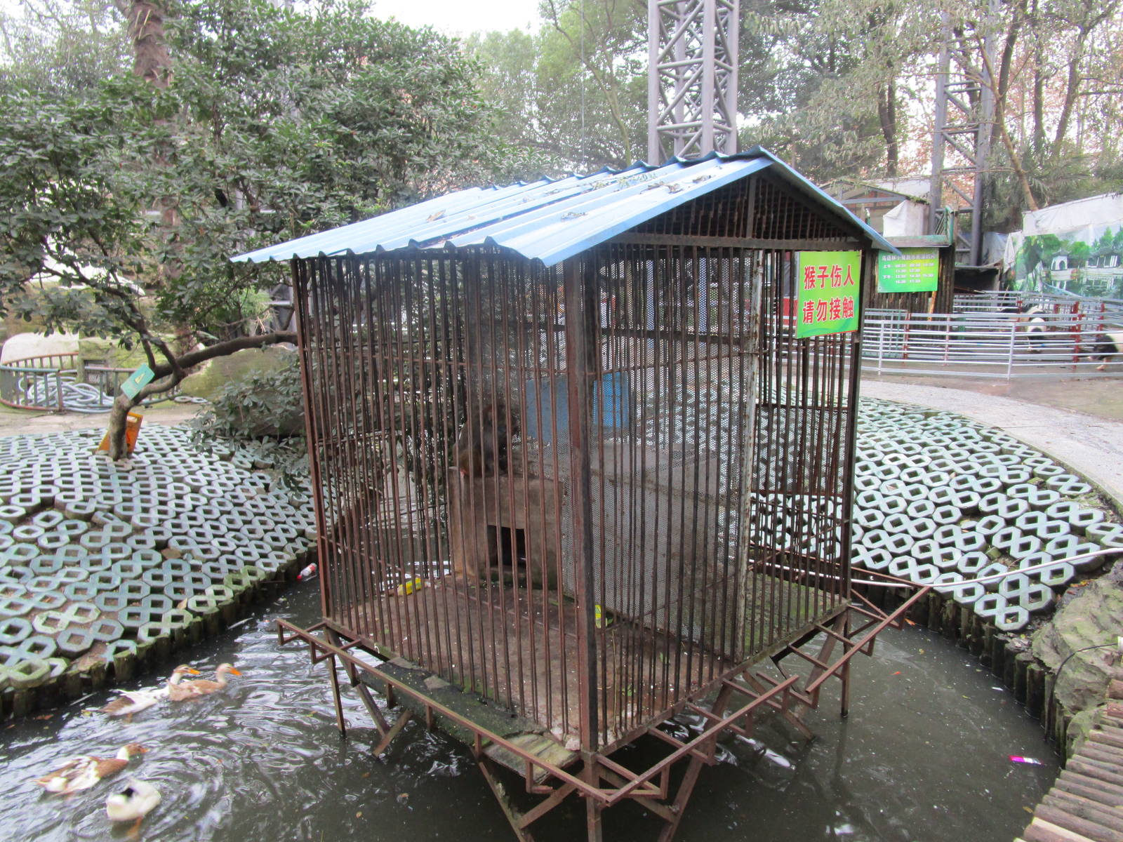 Hongmei Park Aviary - Macaque Cage