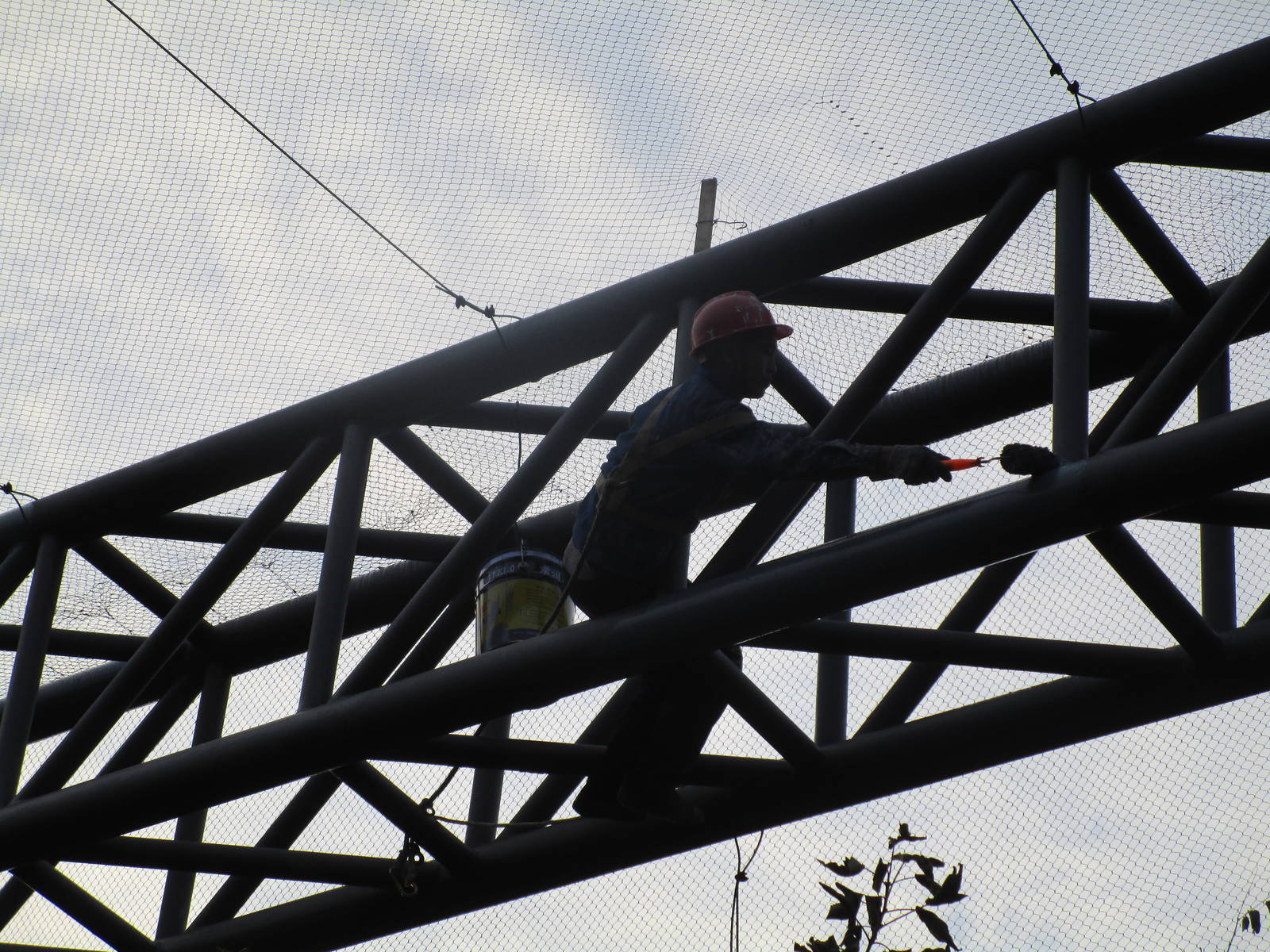 Hongmei Park Aviary - maintenance
