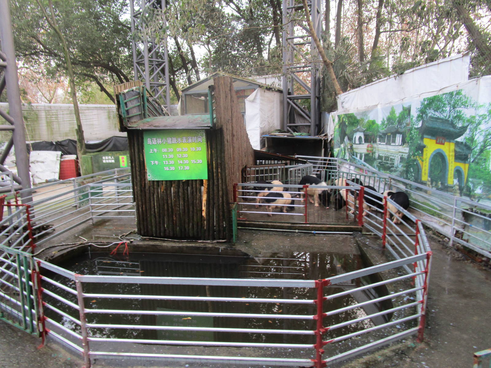 Hongmei Park Aviary - pig diving pool
