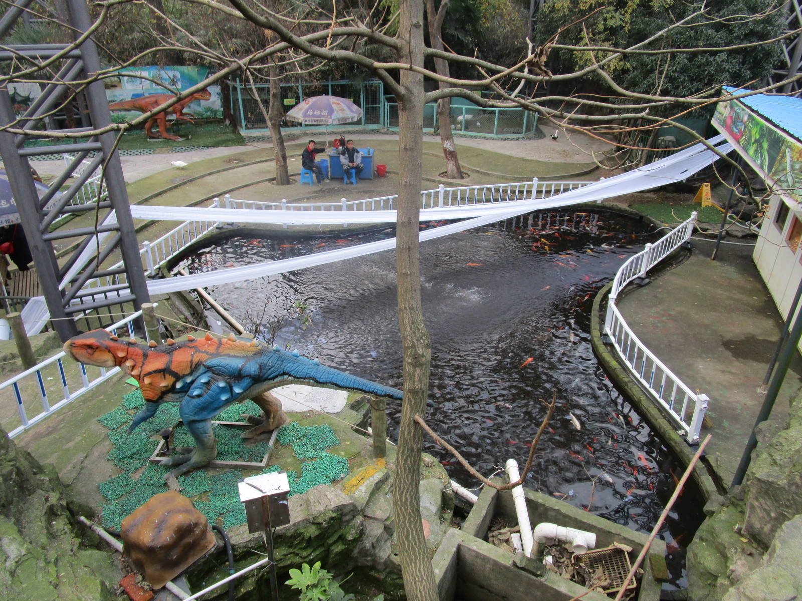Hongmei Park Aviary - pool