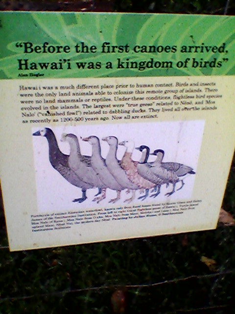 Honolulu Zoo Extinct Goose Sign