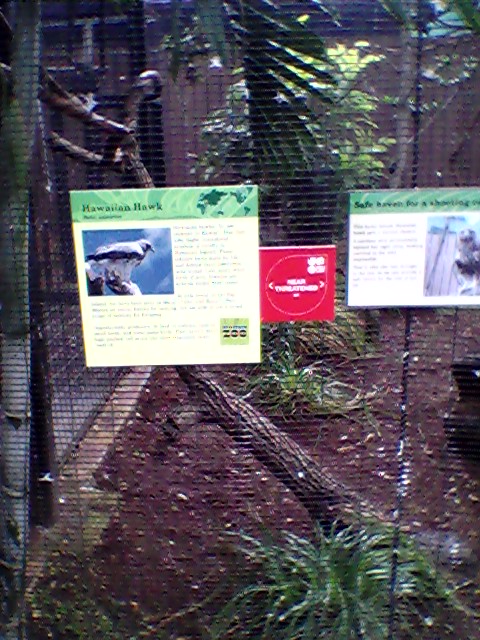 Honolulu Zoo Hawk exhibit sign