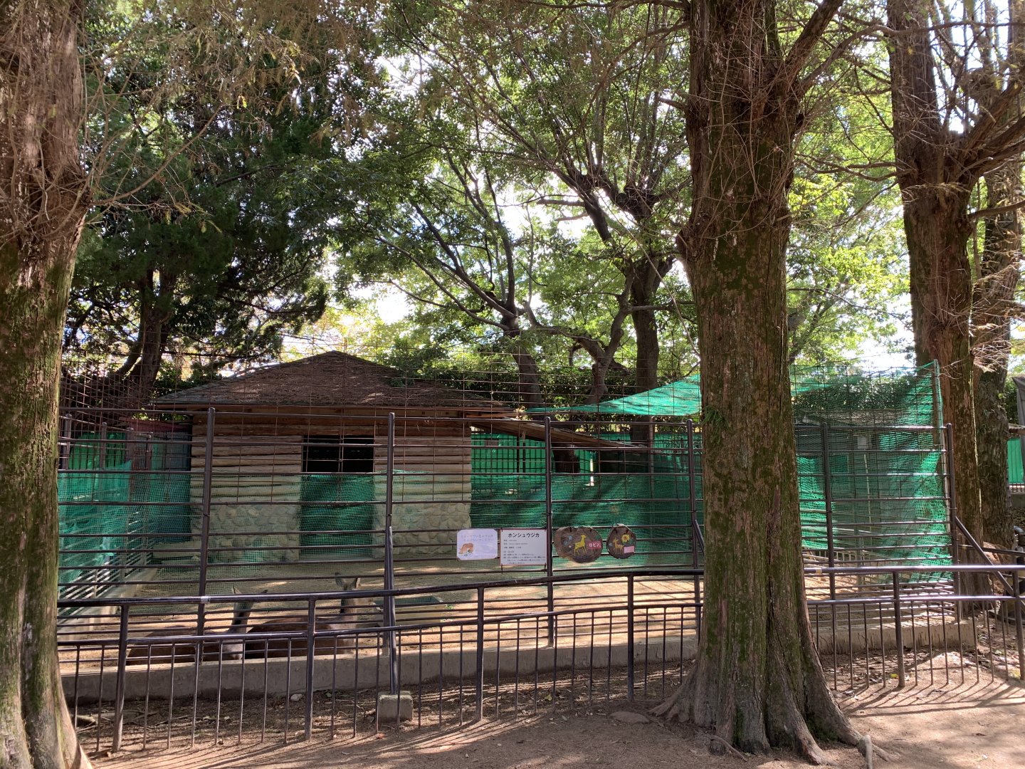Honshu Sika Deer Enclosure (Himeji City Zoo)