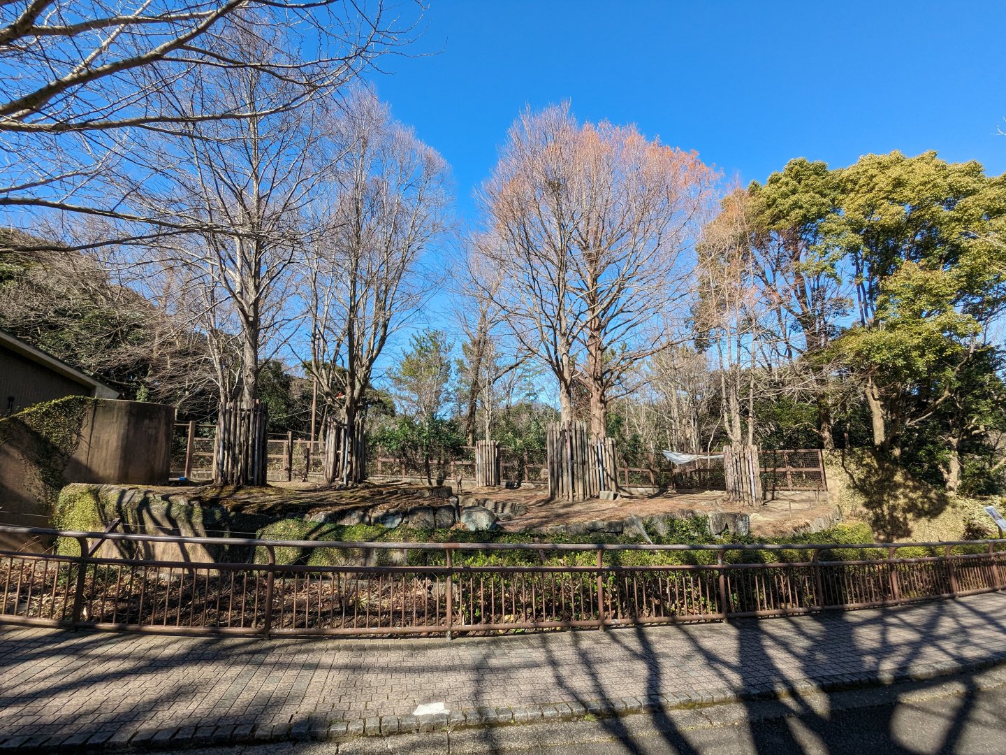 Honshu Sika Deer Exhibit (Old Kansu Wapiti Exhibit)