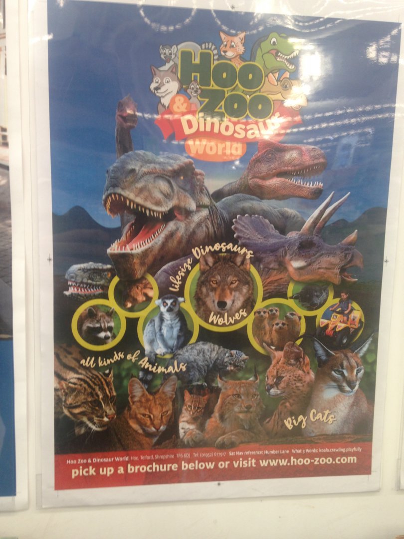 Hoo Zoo & Dinosaur World (2021)