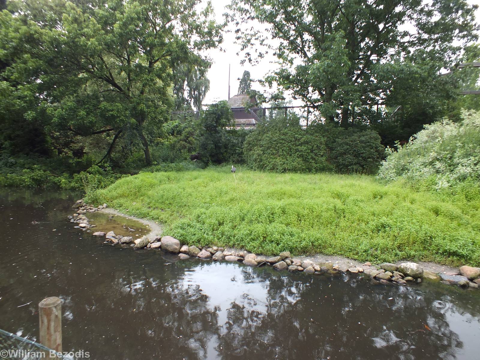 Hooded Crane Enclosure