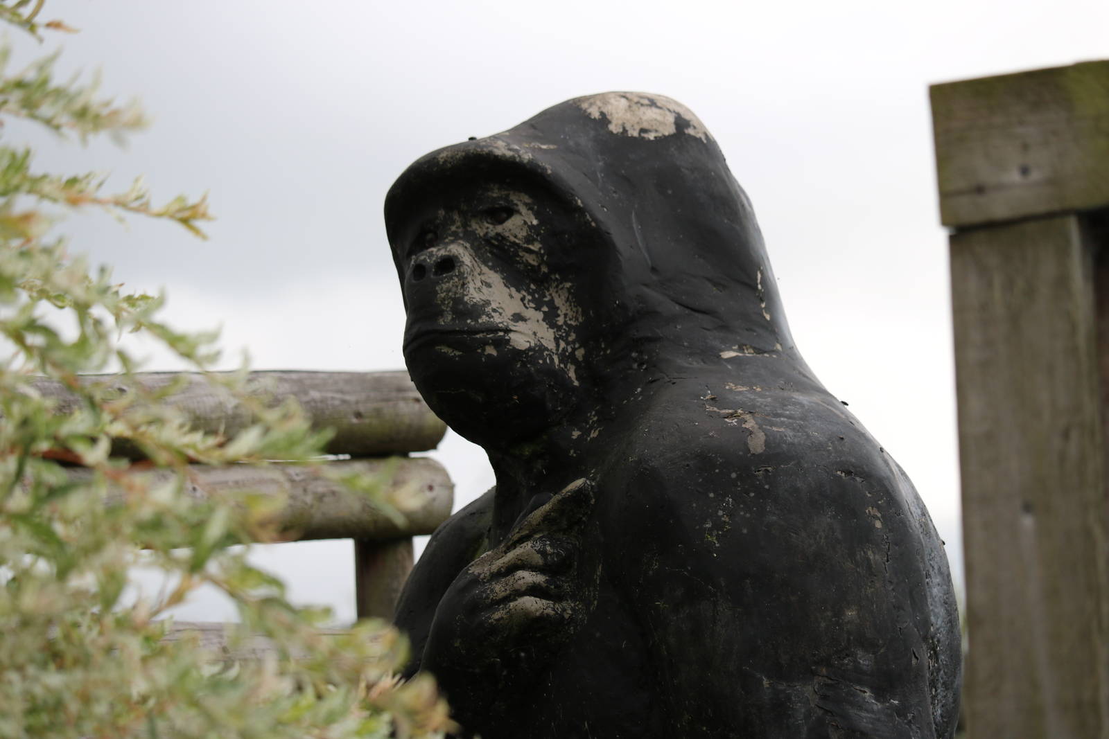 Hooded gorilla statue, September 2015