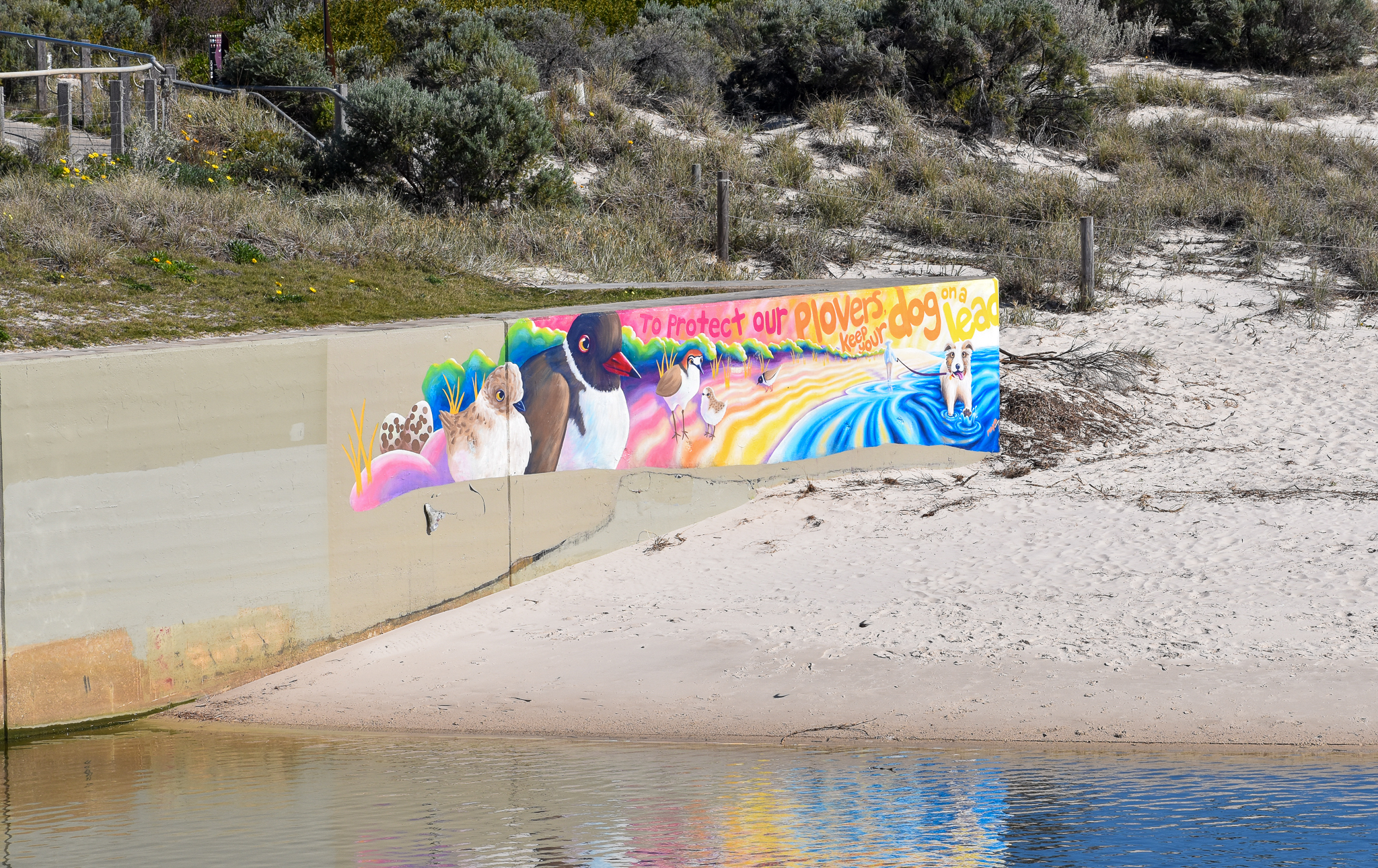 Hooded Plover and Red-capped Plover Mural