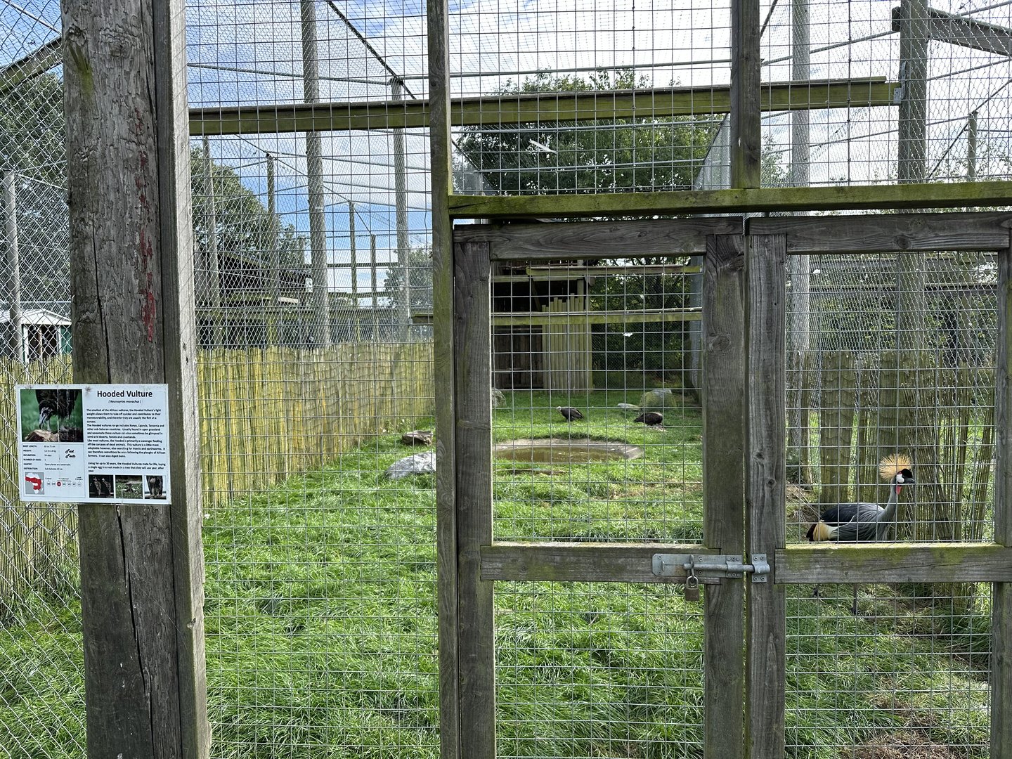 Hooded Vulture / Grey-Crowned Crane Enclosure at Hamerton Zoo Park (October 2023)