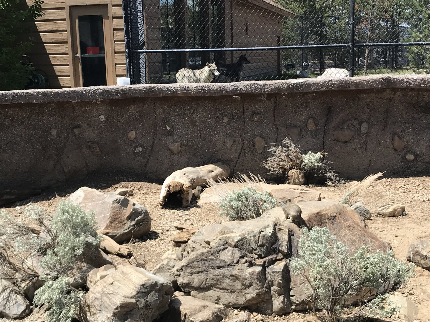 Hoodoo Pack and Ground Squirrels