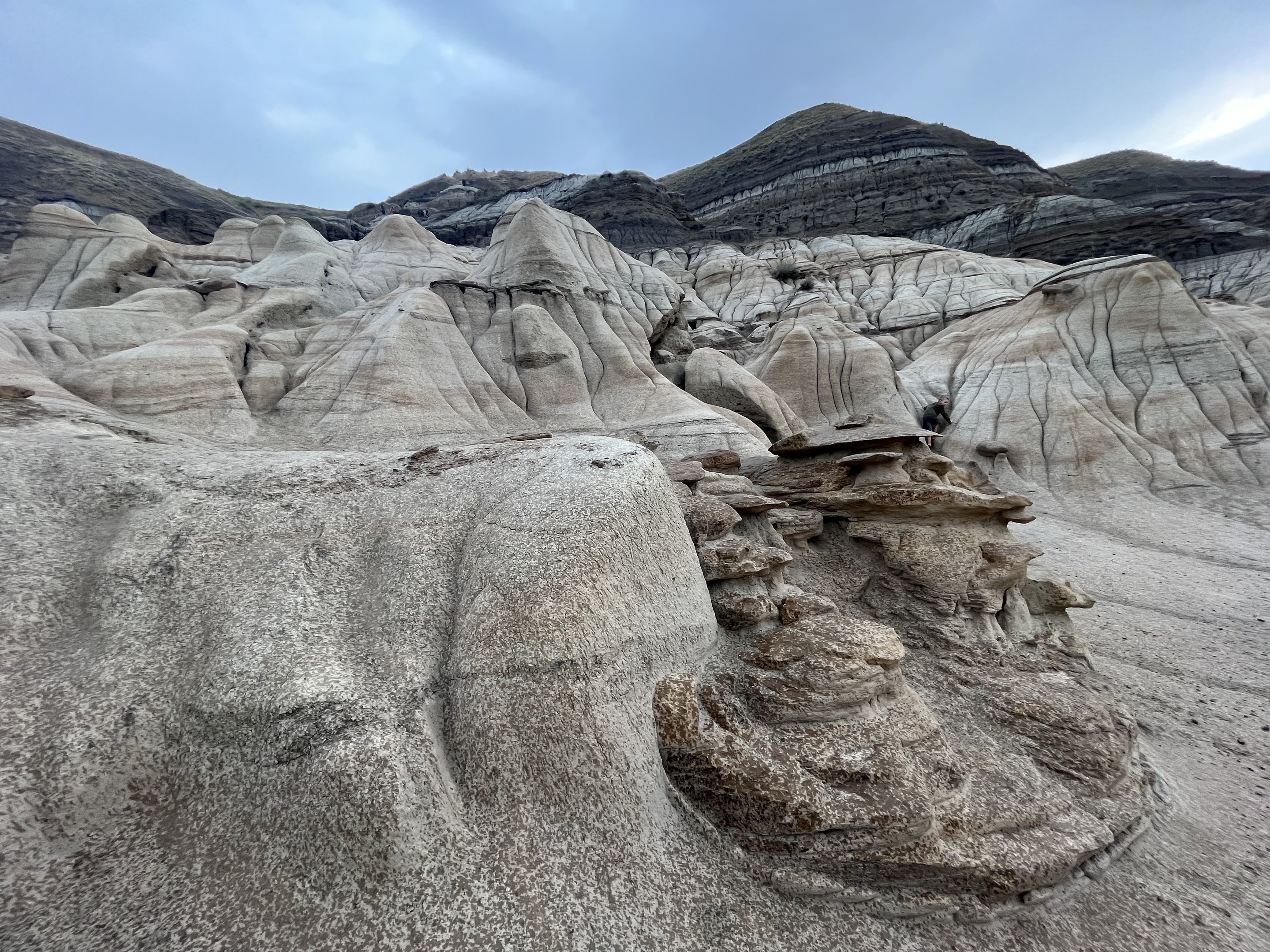 Hoodoos - Drumheller