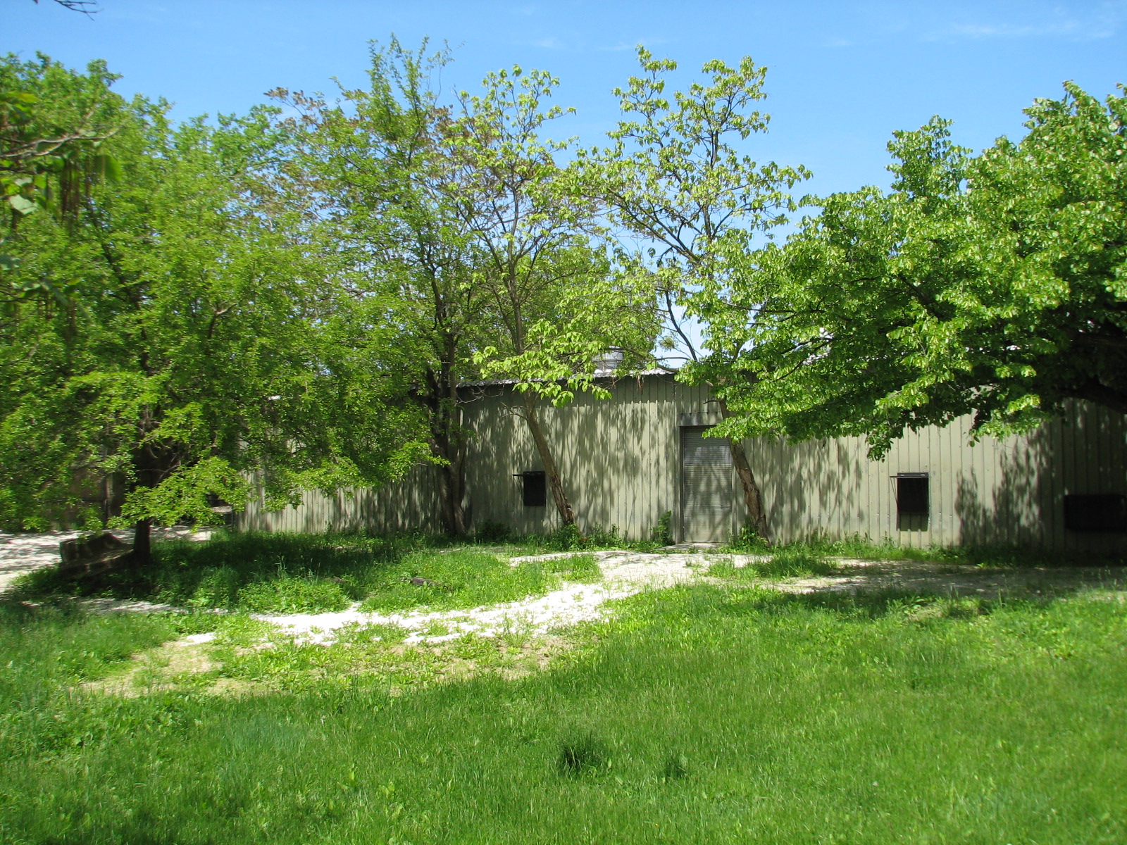 Hoofed Animals - Addax Exhibit 2