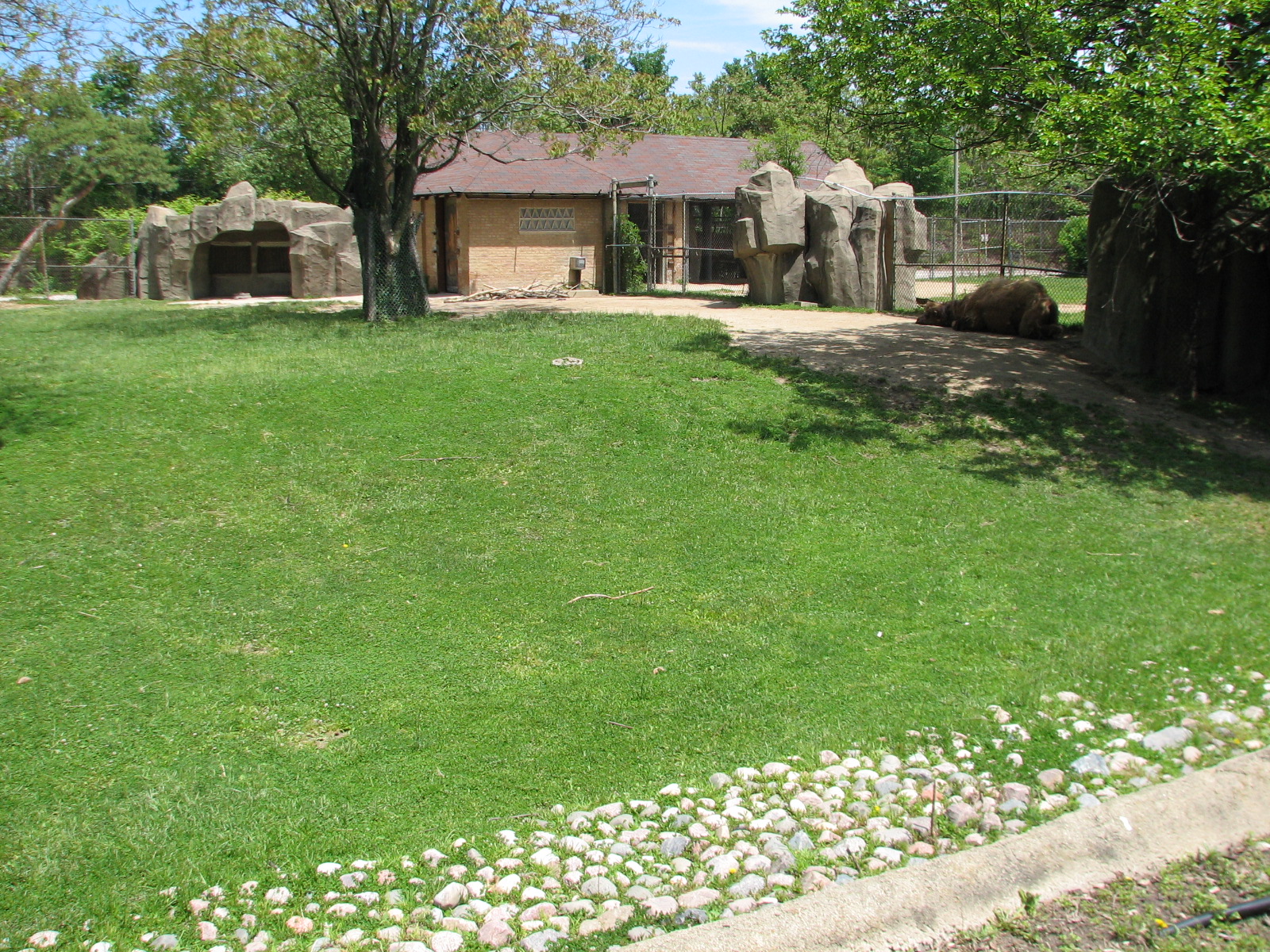 Hoofed Animals - Bactrian Camel Exhibit 2