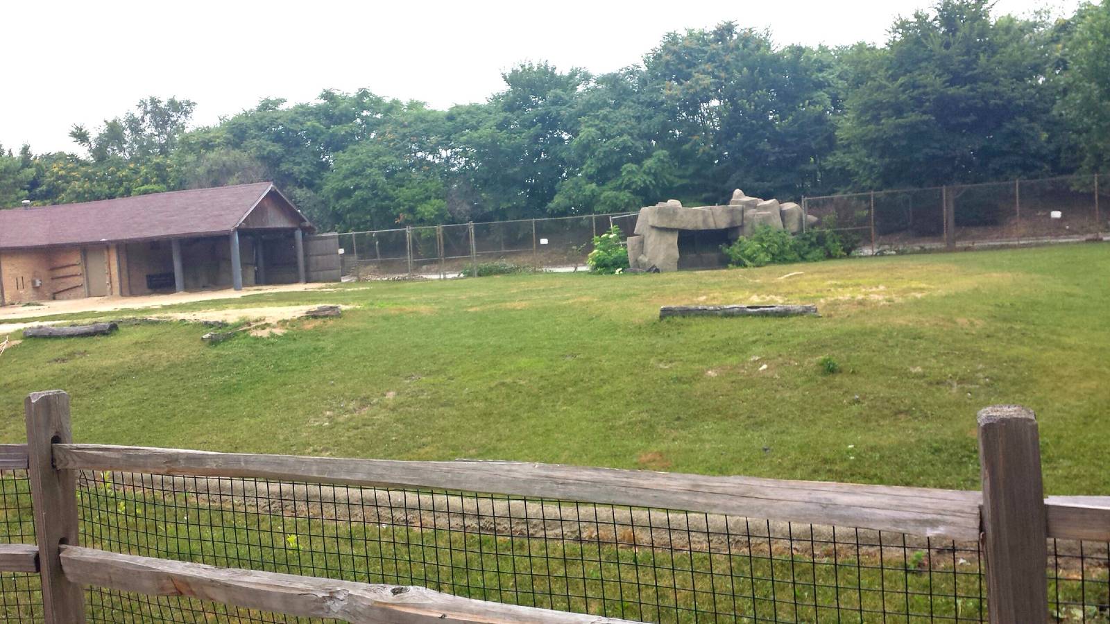 Hoofed Animals - First Bactrian Camel Exhibit