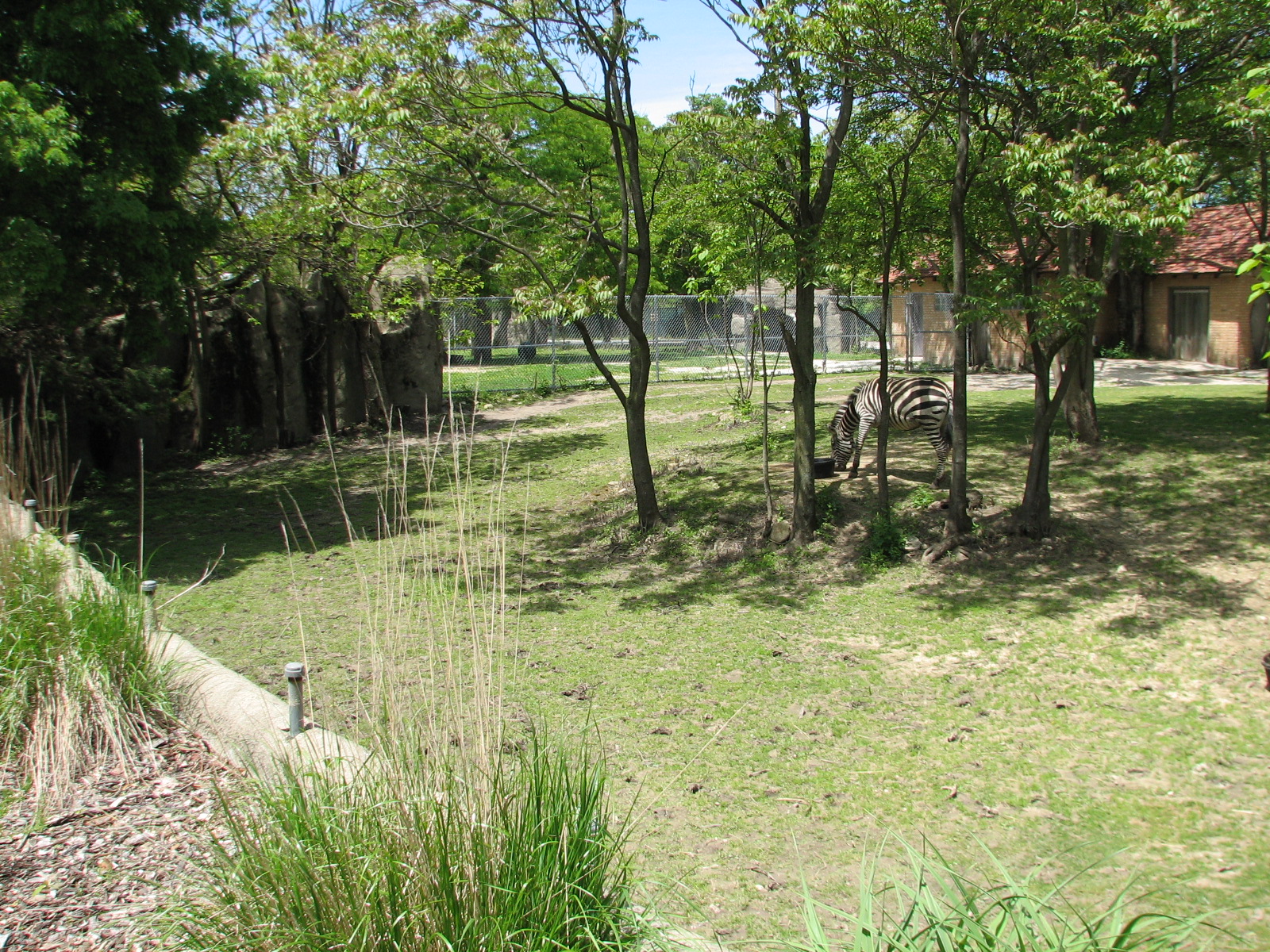 Hoofed Animals - Grants Zebra Exhibit