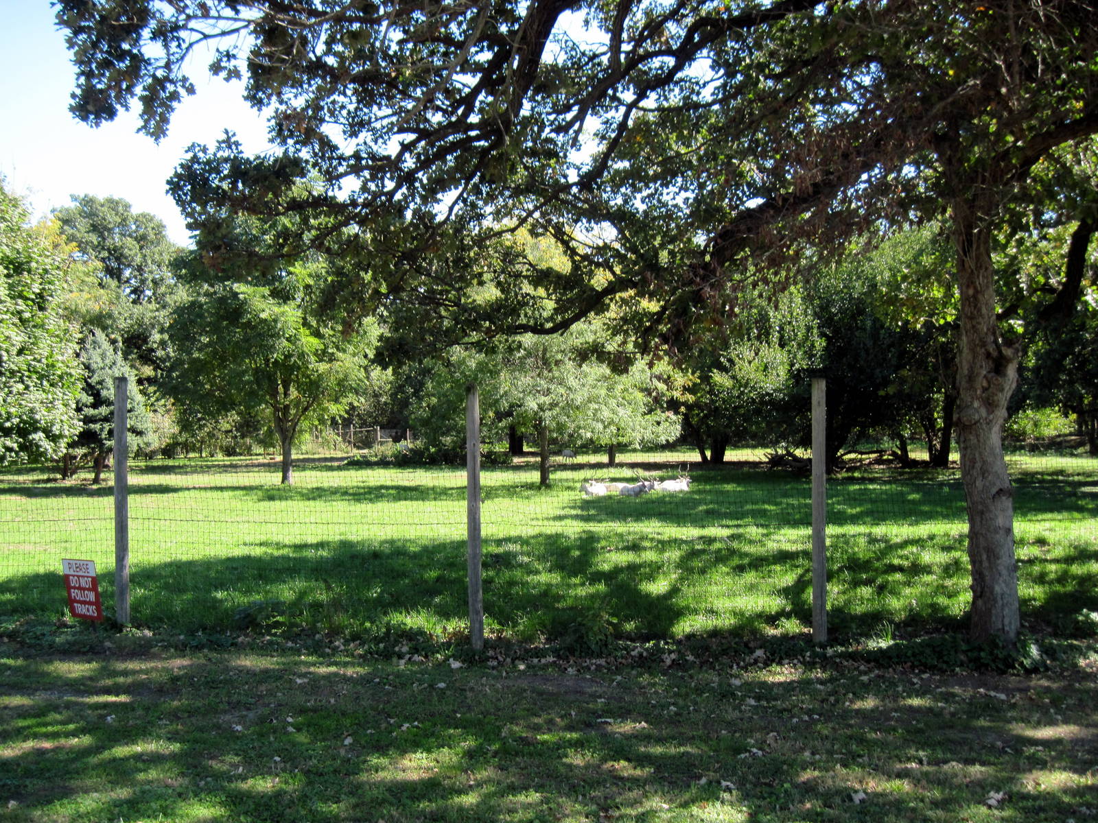 Hoofstock-Addax Exhibit